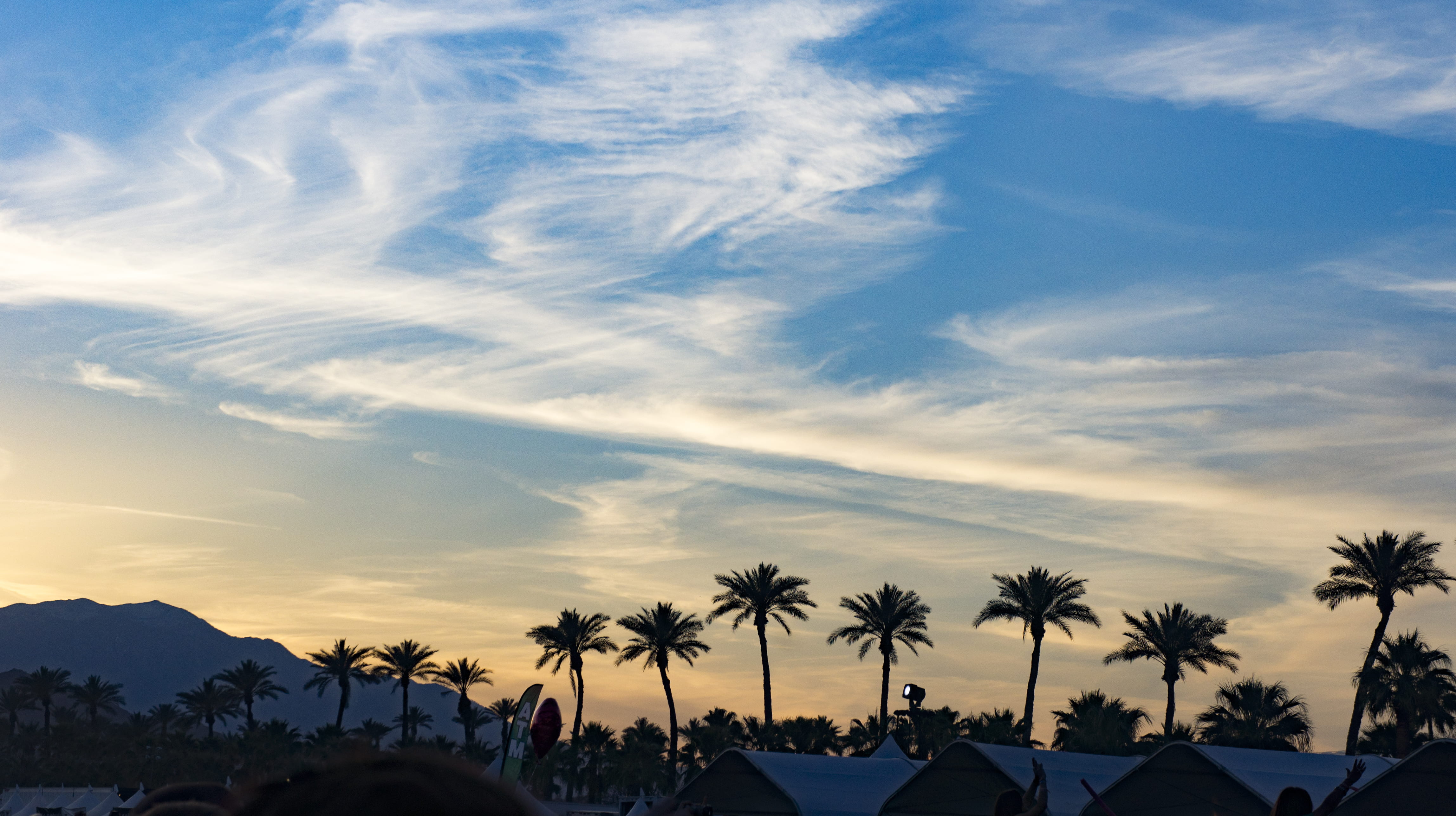 trees, palm trees, tree, blue sky, outdoors, nature, coconut palm tree, sky, photography, no people, cloud, 4K, white, sunset, beauty in nature, palm tree, HD Wallpaper