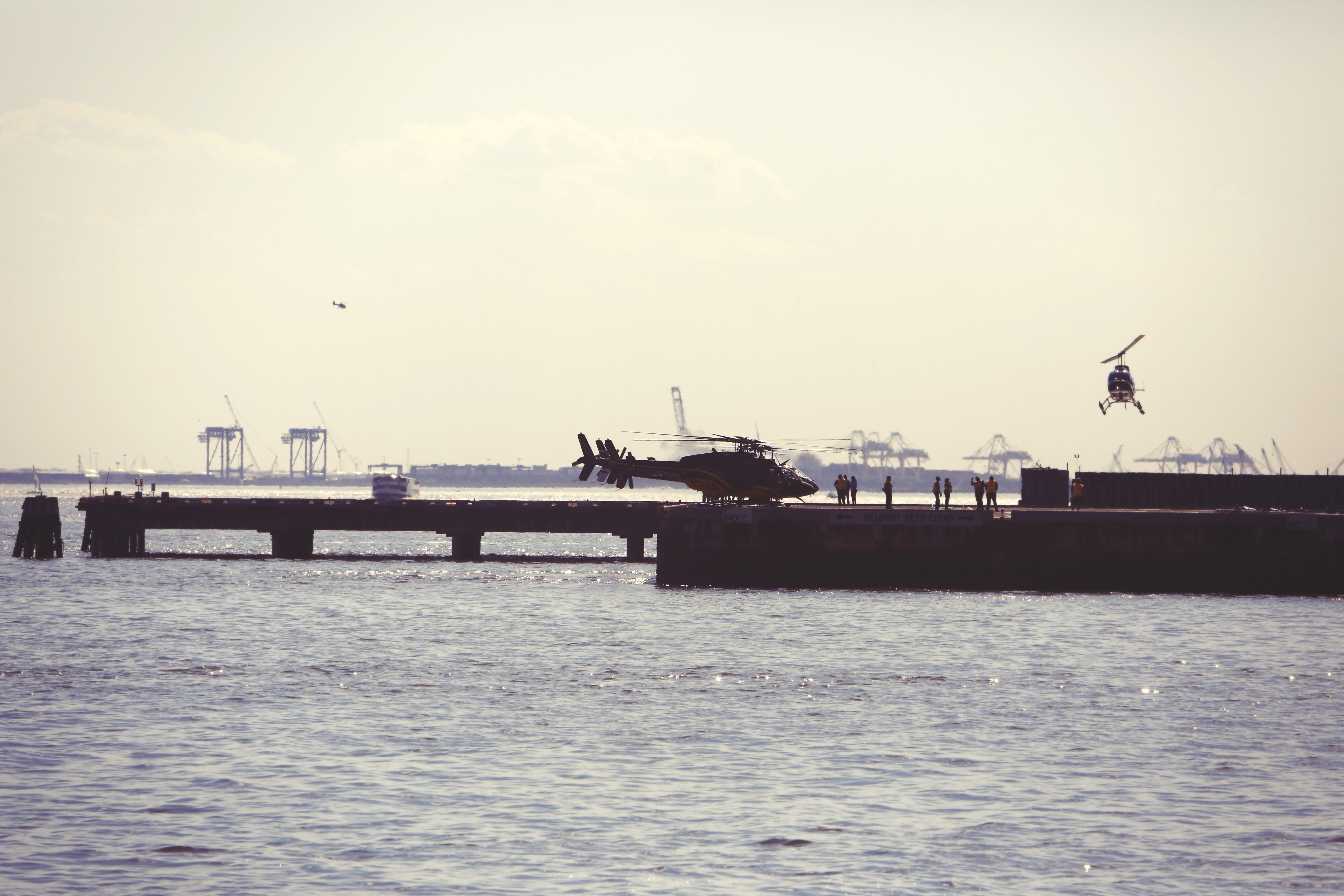 animal themes, travel, dock, pier, nautical vessel, seagull, construction equipment, water, vertebrate, animal, flying, 5K, animals in the wild, helipad, HD Wallpaper