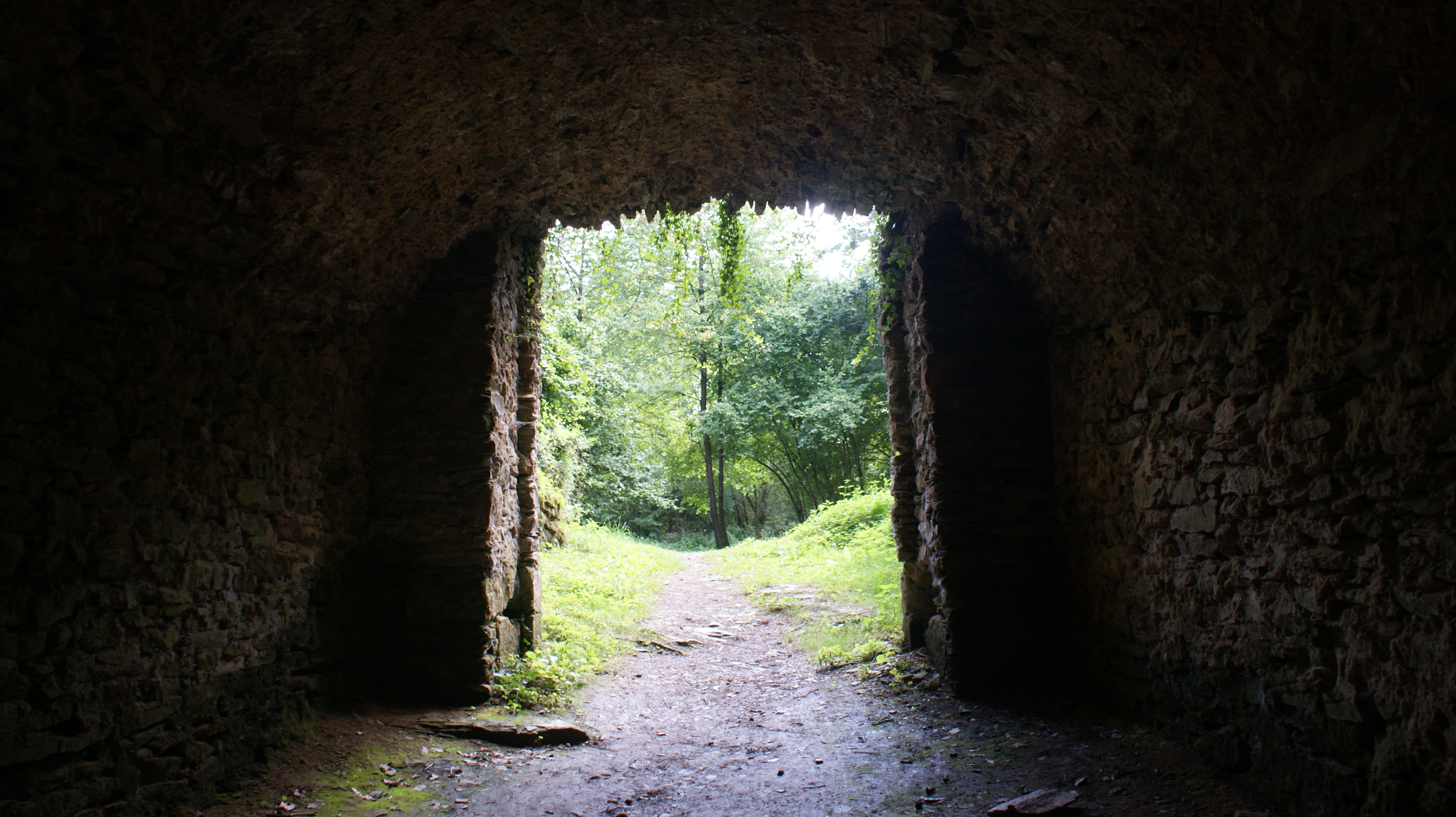 wall - building feature, the way forward, built structure, Path, old, architecture, 4K, indoors, arch, nature, Forest, rose, day, Dark, direction, light at the end of the tunnel, HD Wallpaper
