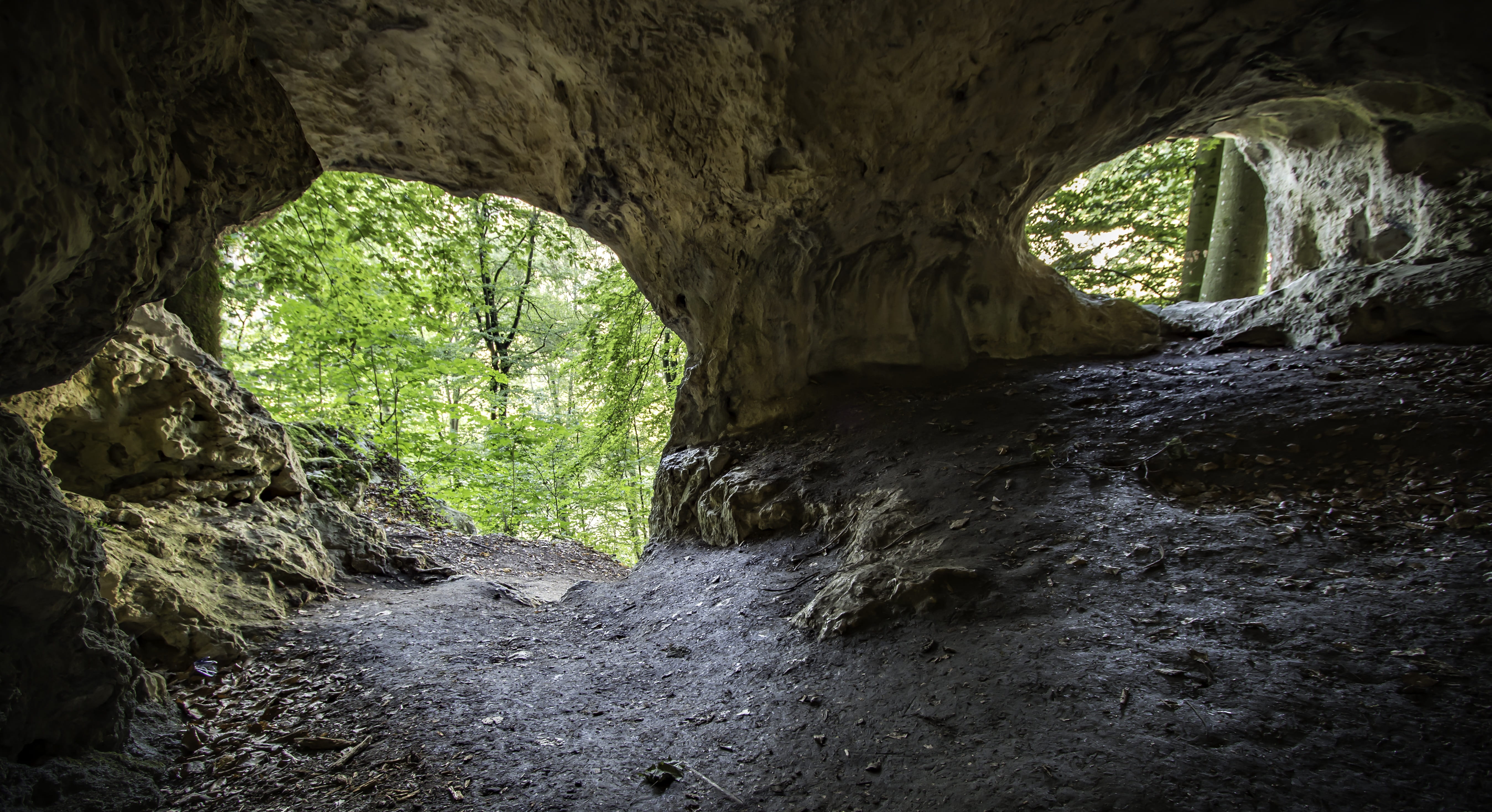 woodland, tranquility, natural arch, nature, 5K, land, rock formation, arch, rock - object, day, rock, bavaria, plant, light at the end of the tunnel, HD Wallpaper
