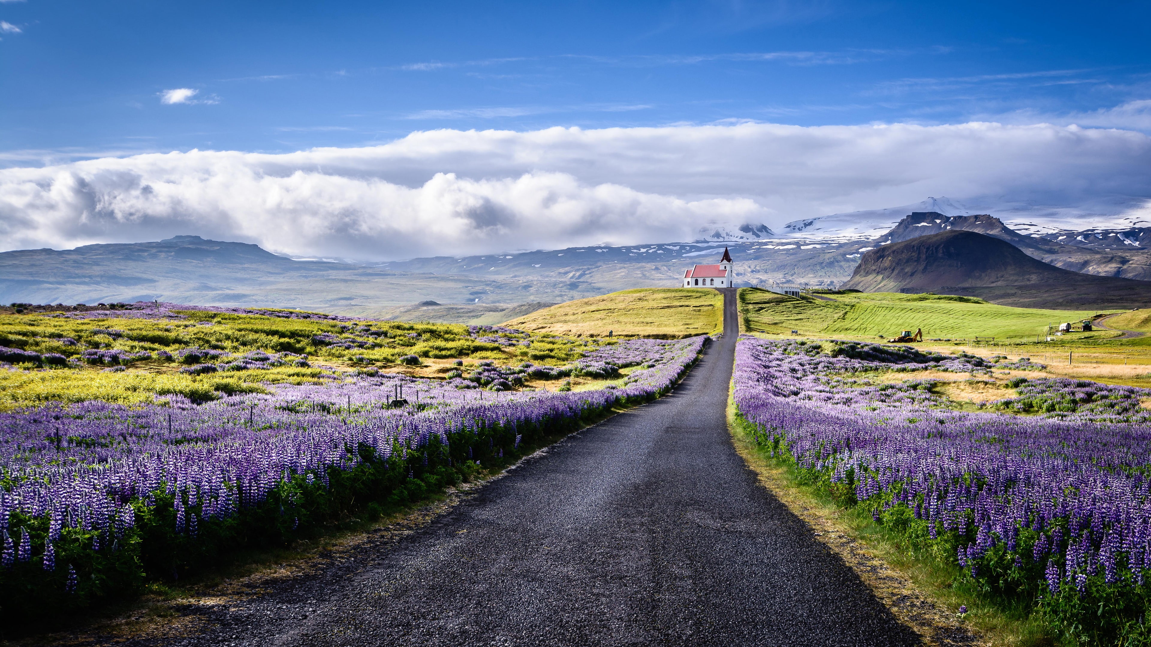 ingjaldsholl, temple, blossom, snaefellsnes peninsula, hellissandur, 4K, western iceland, road, ingjaldshólskirkja, spring, lupin field, lupine, church, HD Wallpaper