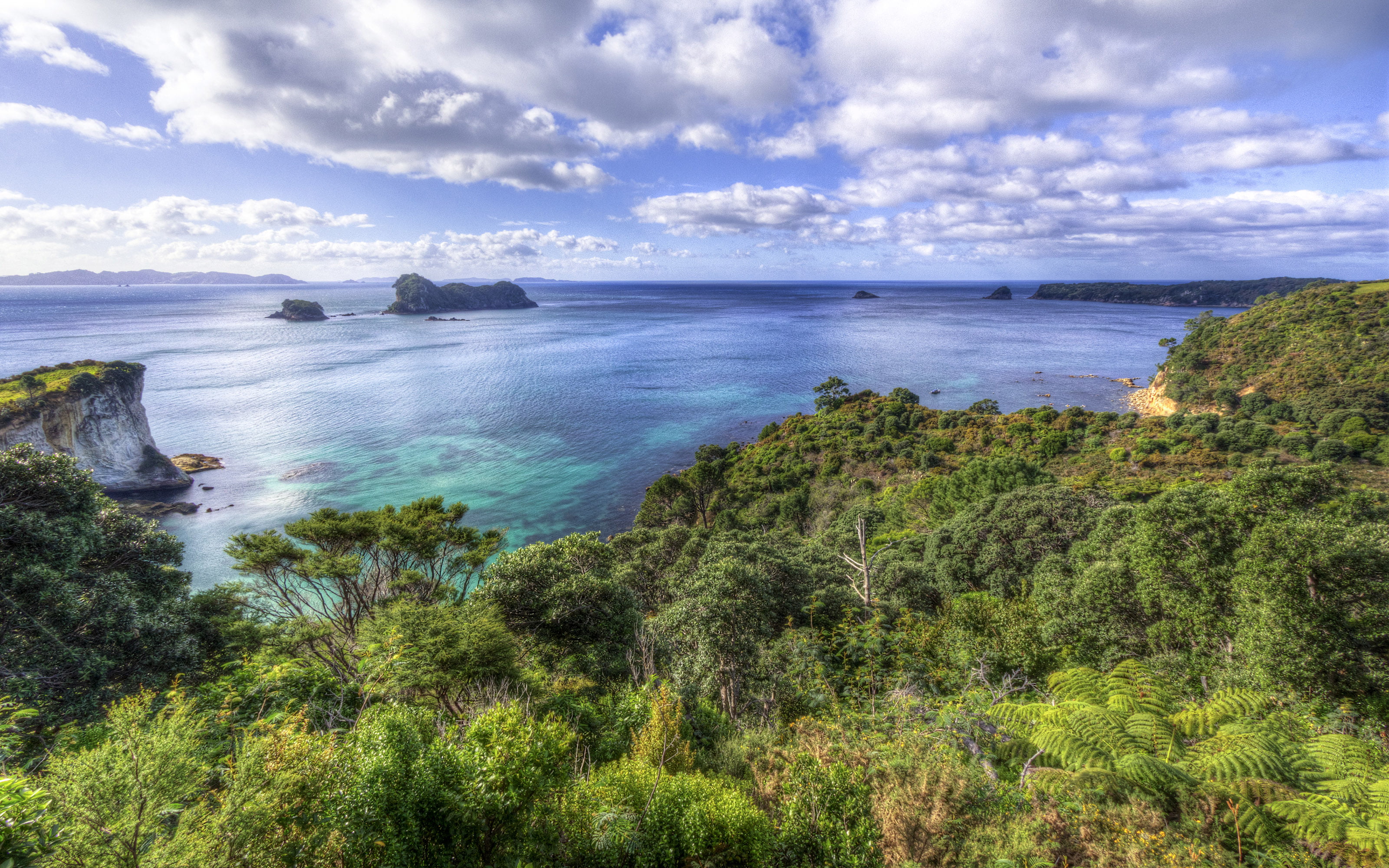 beautiful, cloud - sky, horizon over water, day, nature, coromandel, no people, sea, plant, land, tranquility, idyllic, water, hd, beauty in nature, HD Wallpaper