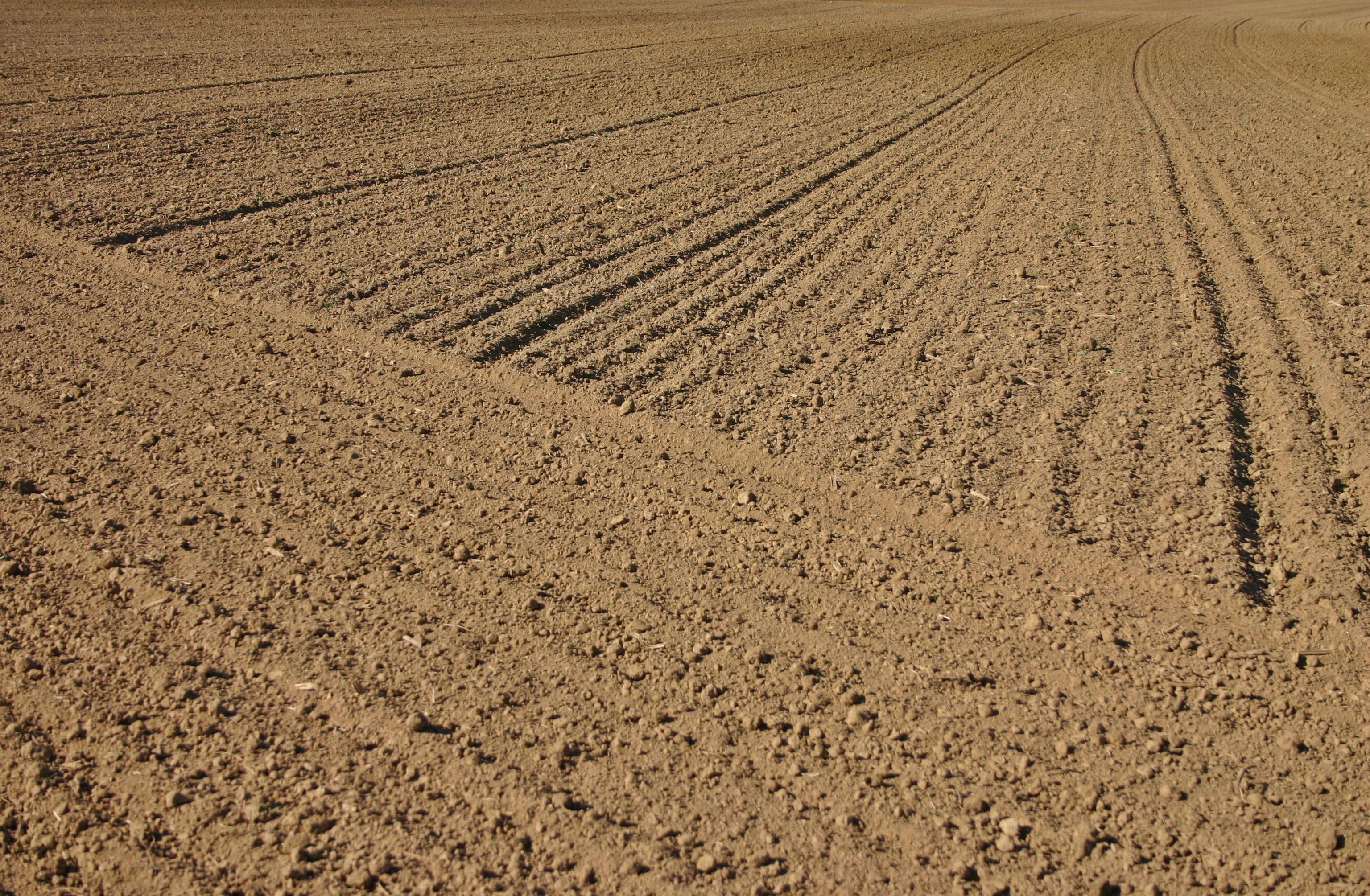 tranquility, landscape, field, rural Scene, ground, high angle view, symmetry, no people, background, land, 2K, tire track, textured, brown, beach, pattern, HD Wallpaper