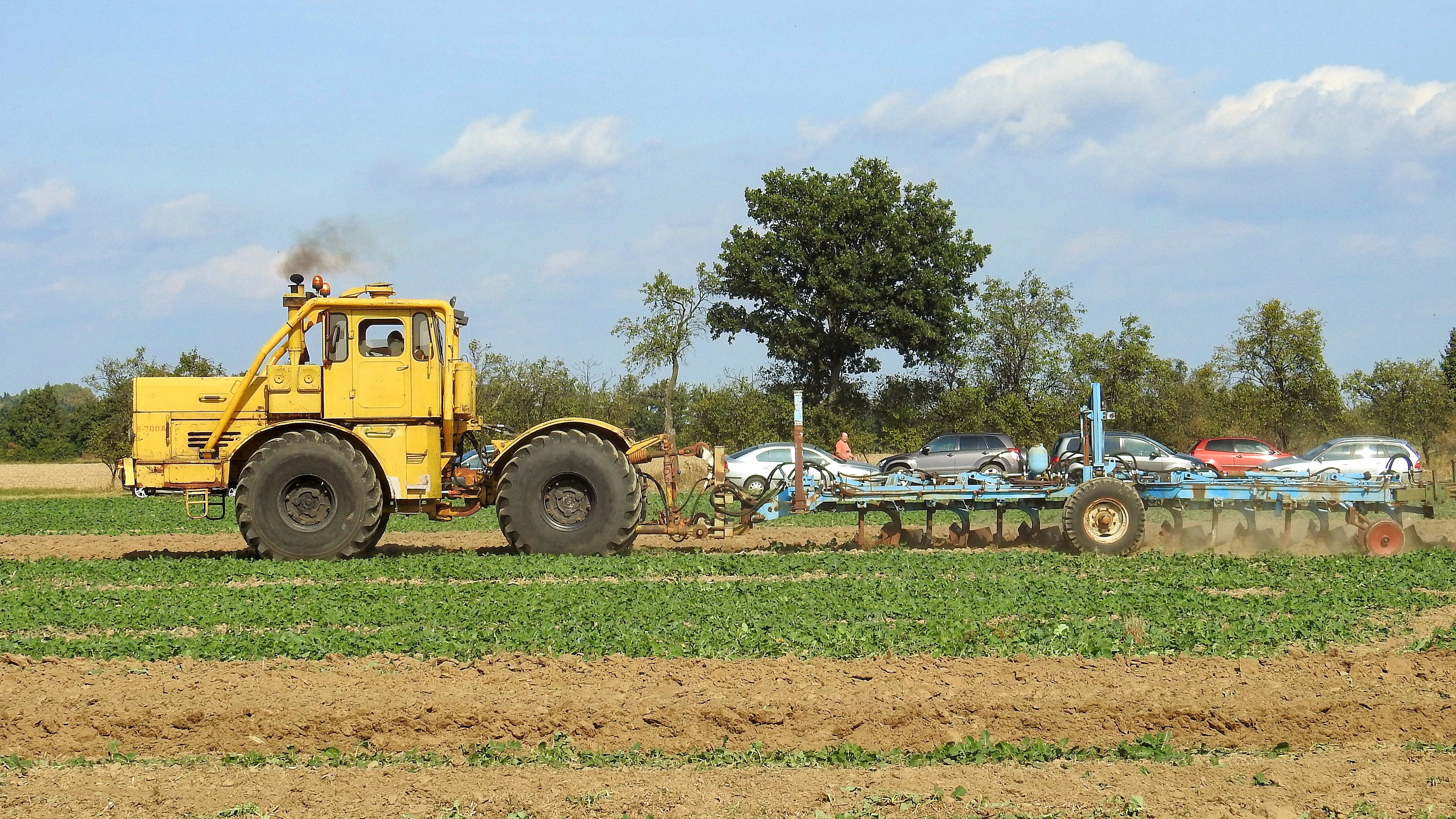 tillage, equipment, ploughing, construction industry, agricultural tractor, working, kasimir, tractor, construction machinery, plant, tree, industry, plow, HD Wallpaper