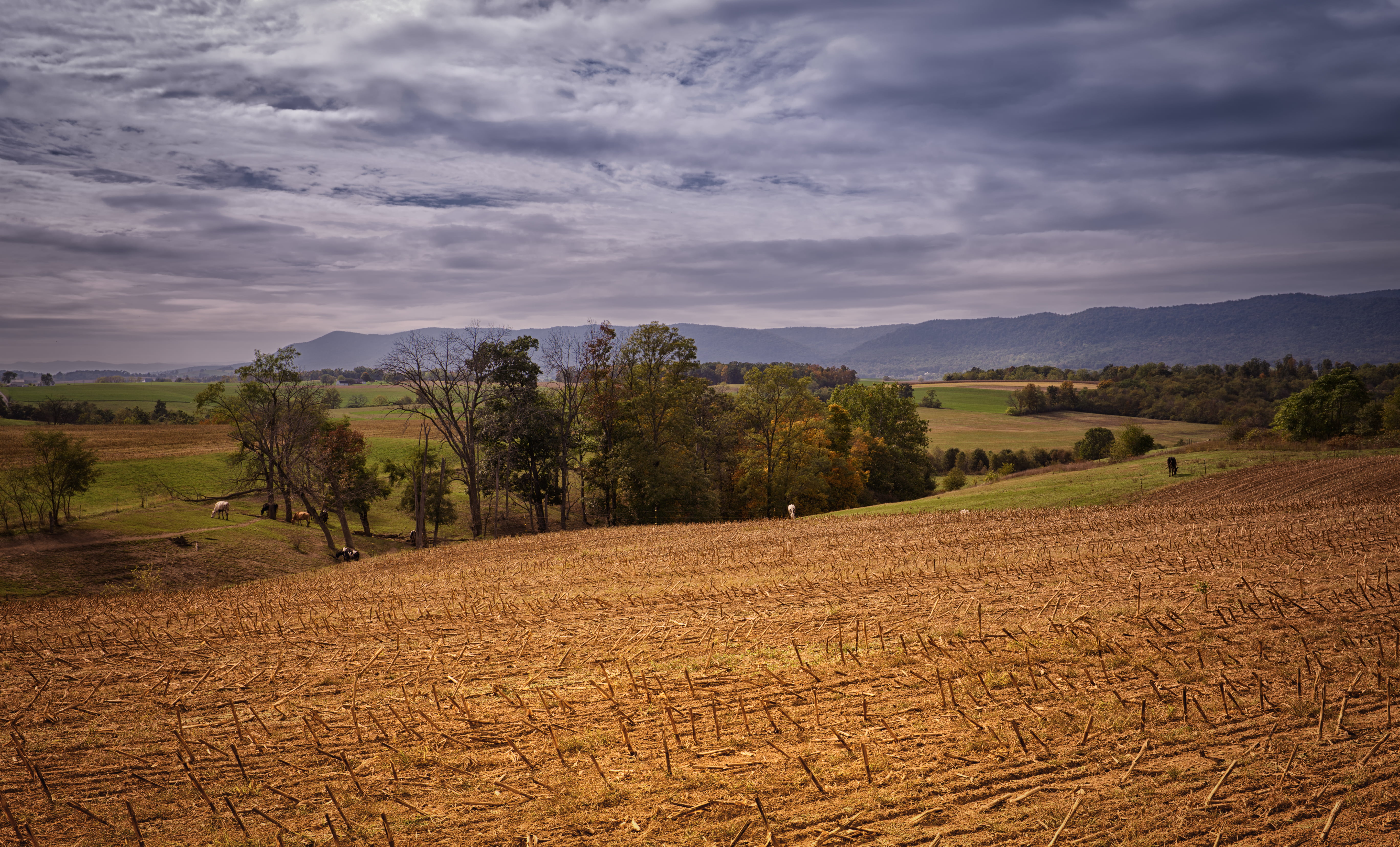 canon, 5K, farm, summer, nature, scenics, landscaped, agriculture, land, rural Scene, sky  landscape, trees, landscape, tree, sky, hills, field, plowed Field, HD Wallpaper