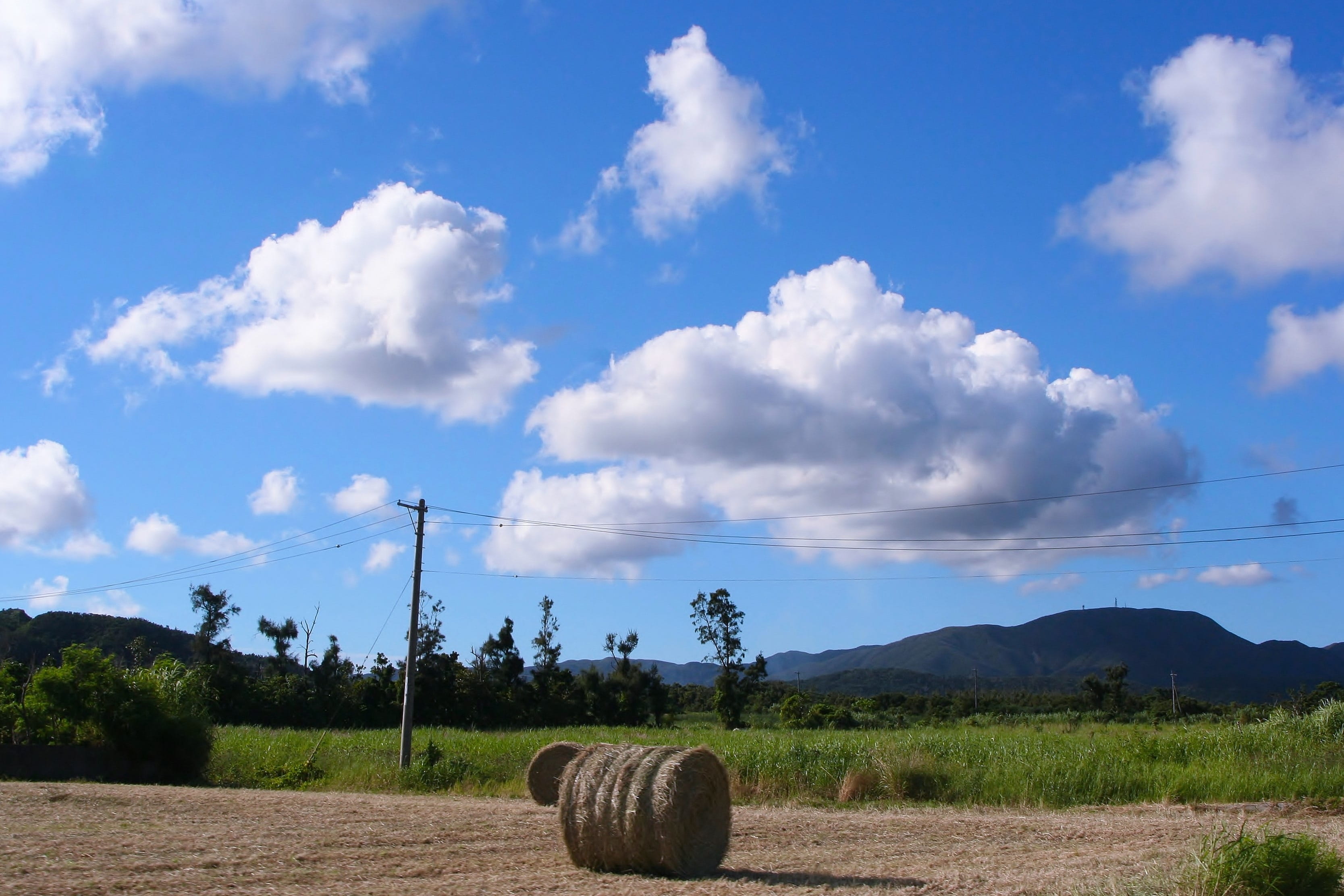 nature, plant, beauty in nature, japan, 2K, wind, rural Scene, plow, cloud, scenics, Utility Pole, non-Urban Scene, outlying islands, landscape, crop, HD Wallpaper