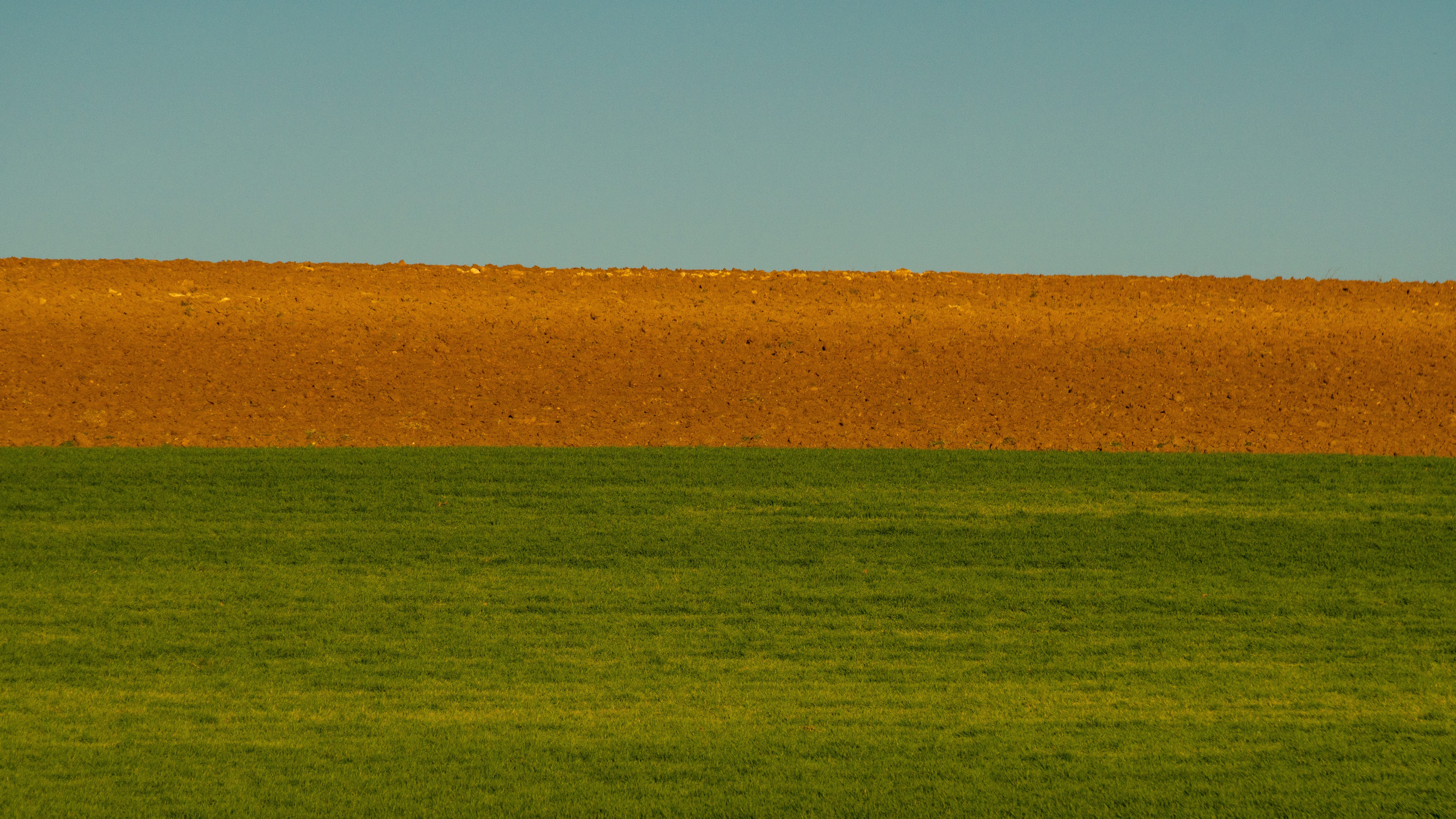 horizon over land, day, grass, outdoors, sky, laid, plain, playing field, green color, golf course, copy space, environment, field, landscape, no people, HD Wallpaper