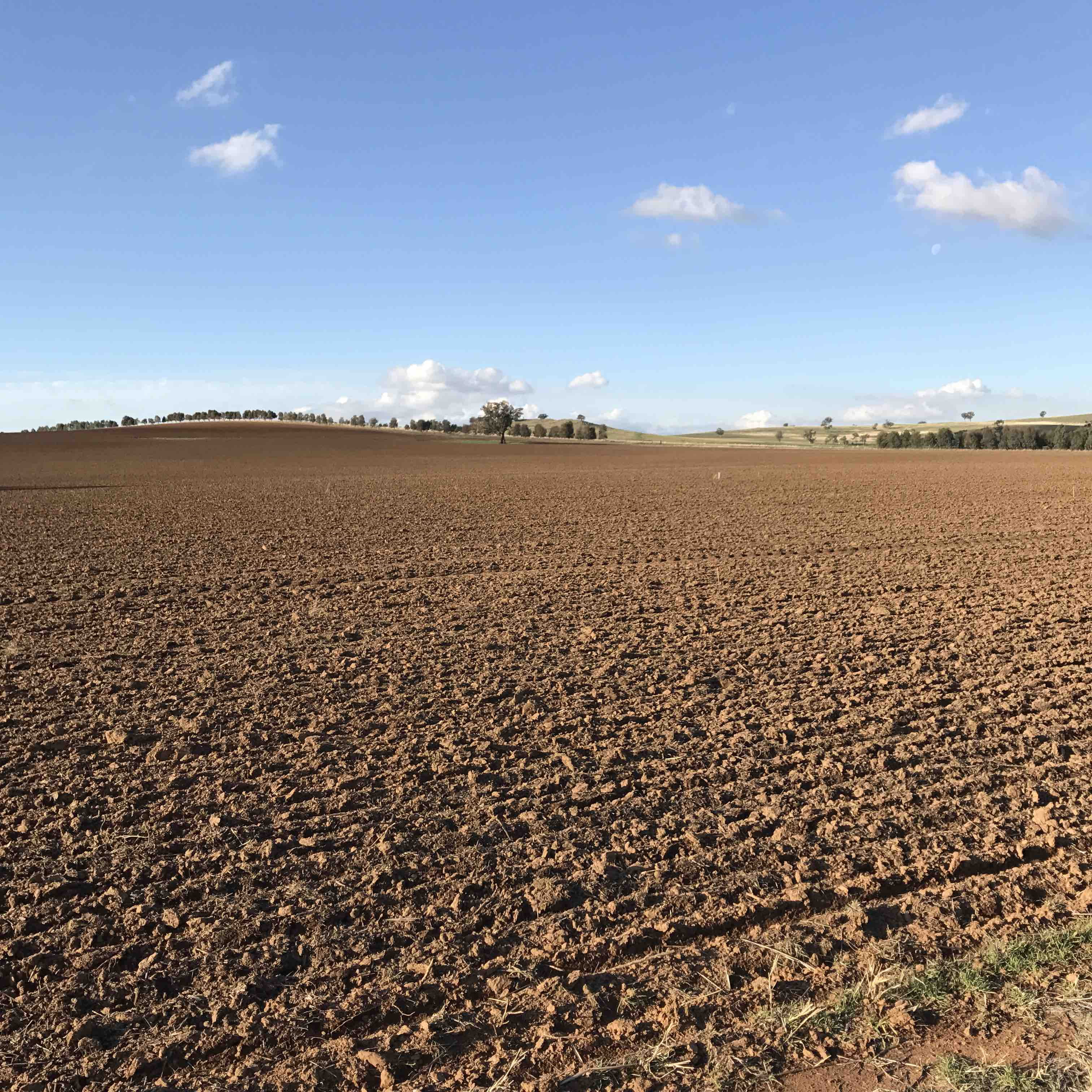 planting, beauty in nature, scenics - nature, nature, cloud - sky, plowed field, agriculture, farm, rural scene, cootamundra, tranquility, outdoors, australia, Phone HD Wallpaper