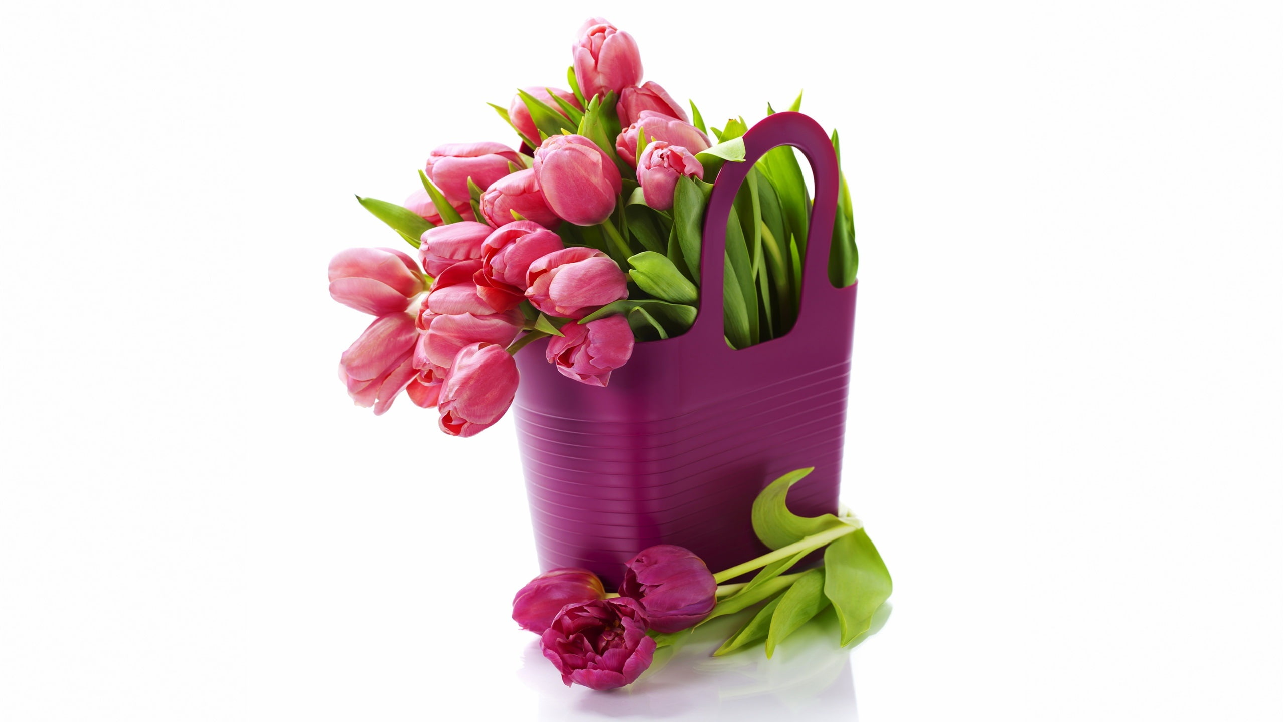 Flowers, 2K, Purple, Background, Tulips, White, Bouquet, Fresh, HD Wallpaper