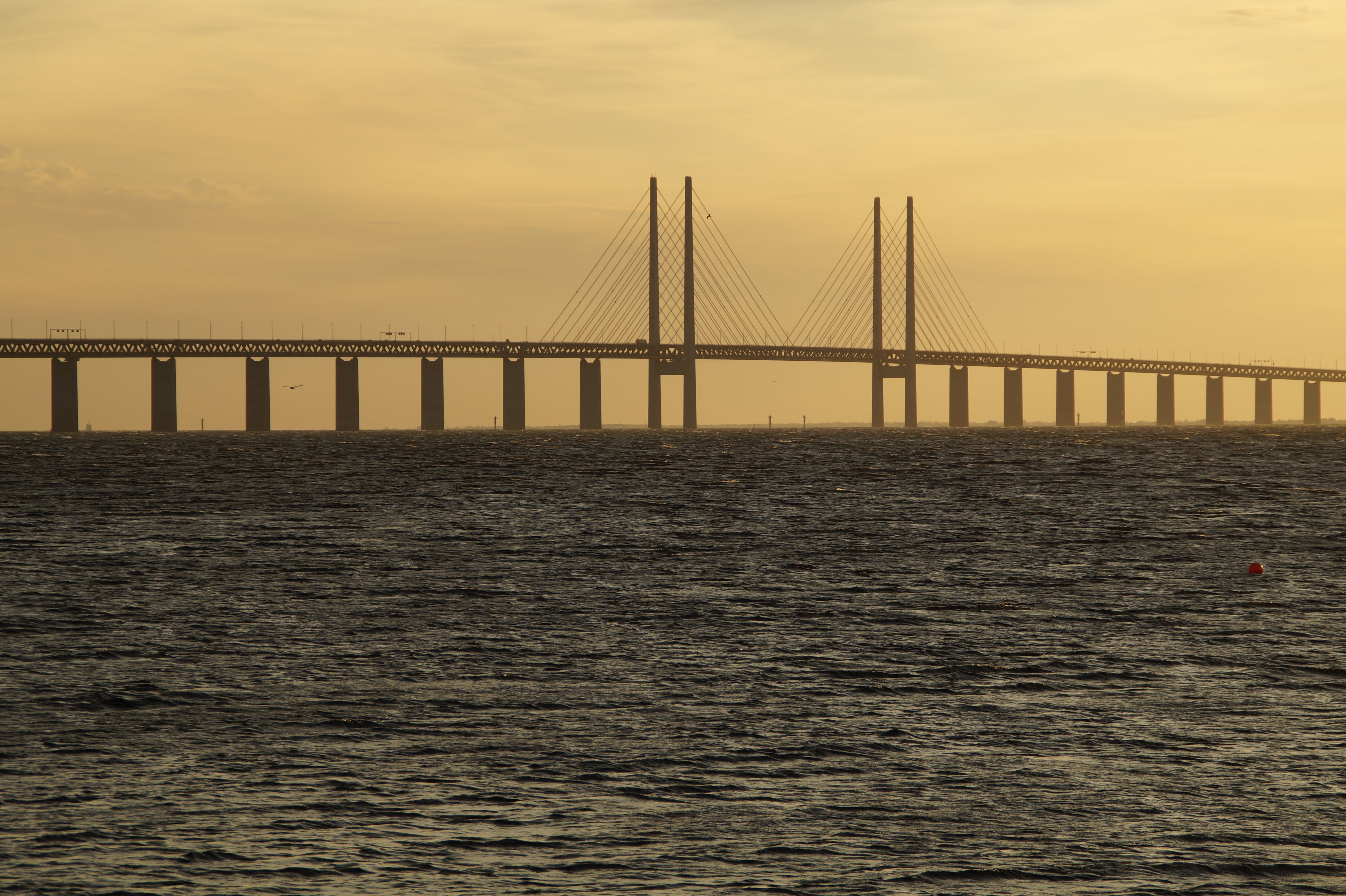 water, cloud - sky, nature, malmö, öresund, california, bridge, bay, evening sky, connection, tourism, outdoors, transportation, evening, cable-stayed bridge, HD Wallpaper