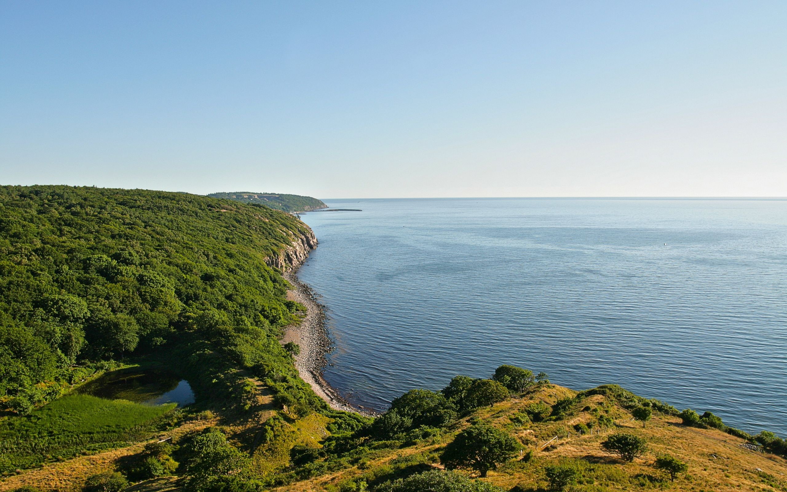 nature, Denmark, forest, 2K, coast, sea, HD Wallpaper