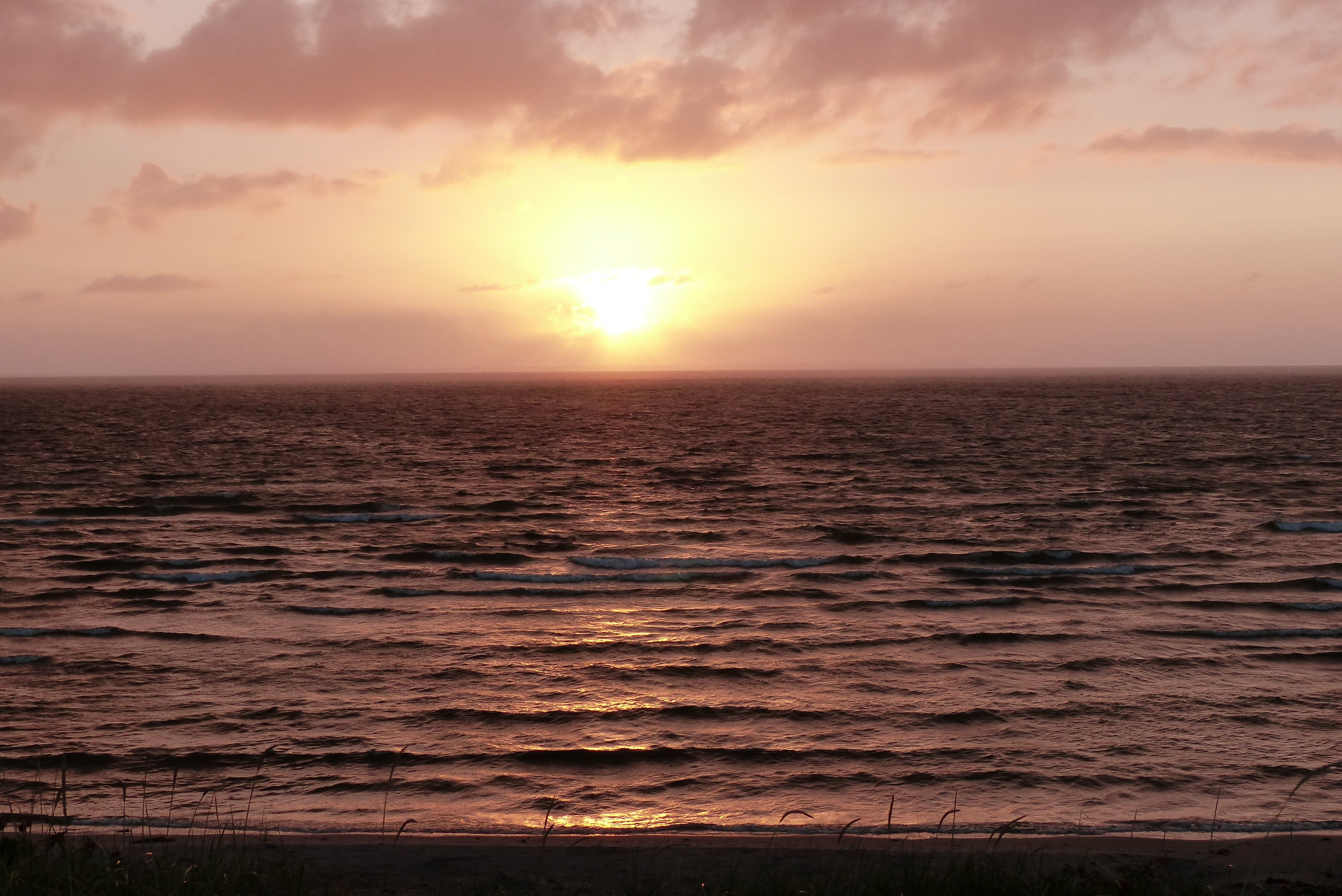 beauty in nature, horizon over water, clouds, back light, orange color, cloud - sky, wave, land, evening sky, horizon, beach, sunset, nature, kattegat, HD Wallpaper