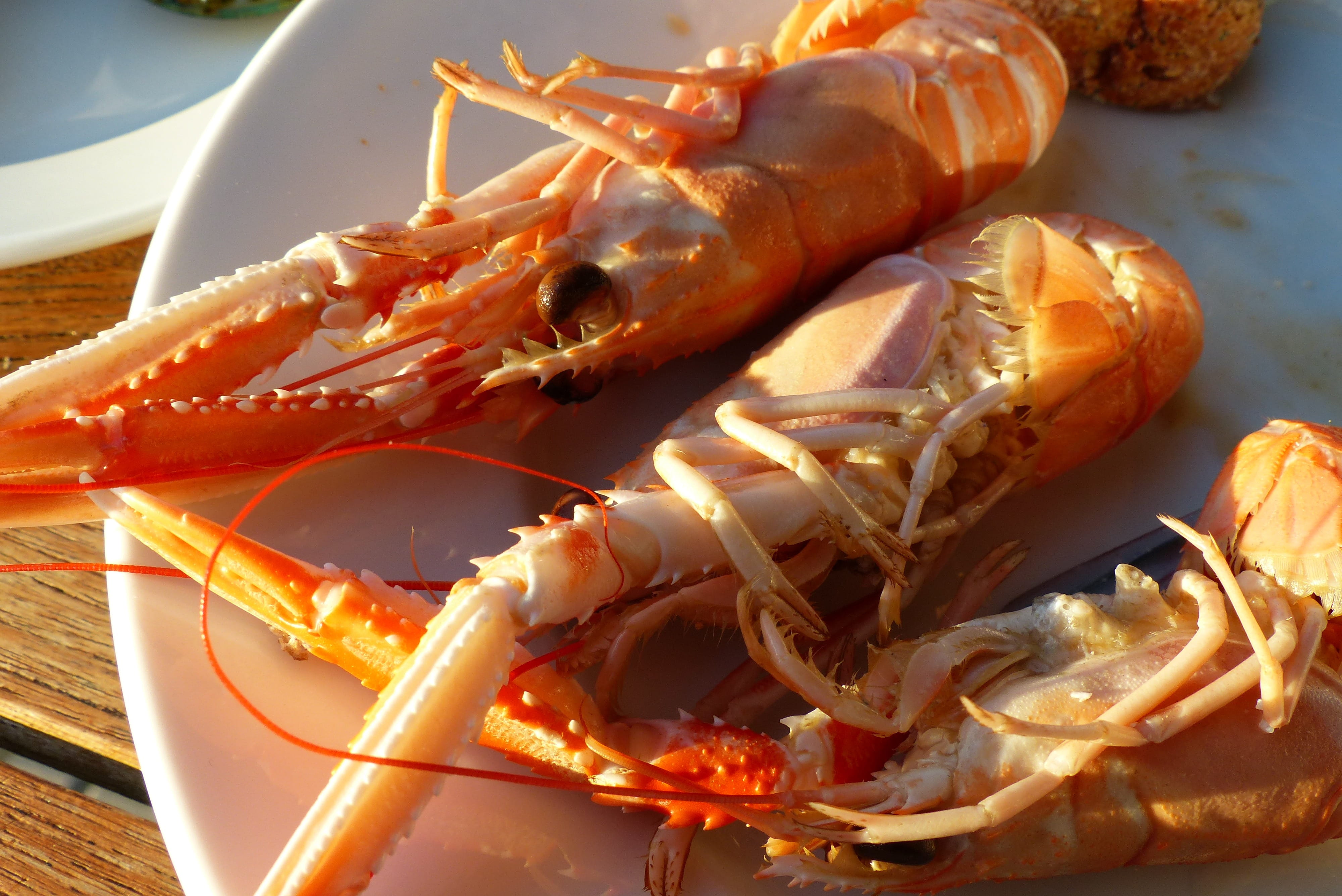 boiled, freshness, Lobster, food, Nephrops, crustaceans, no people, claw, close-up, crustacean, laesoe, crab - seafood, orange color, wellbeing, denmark, HD Wallpaper