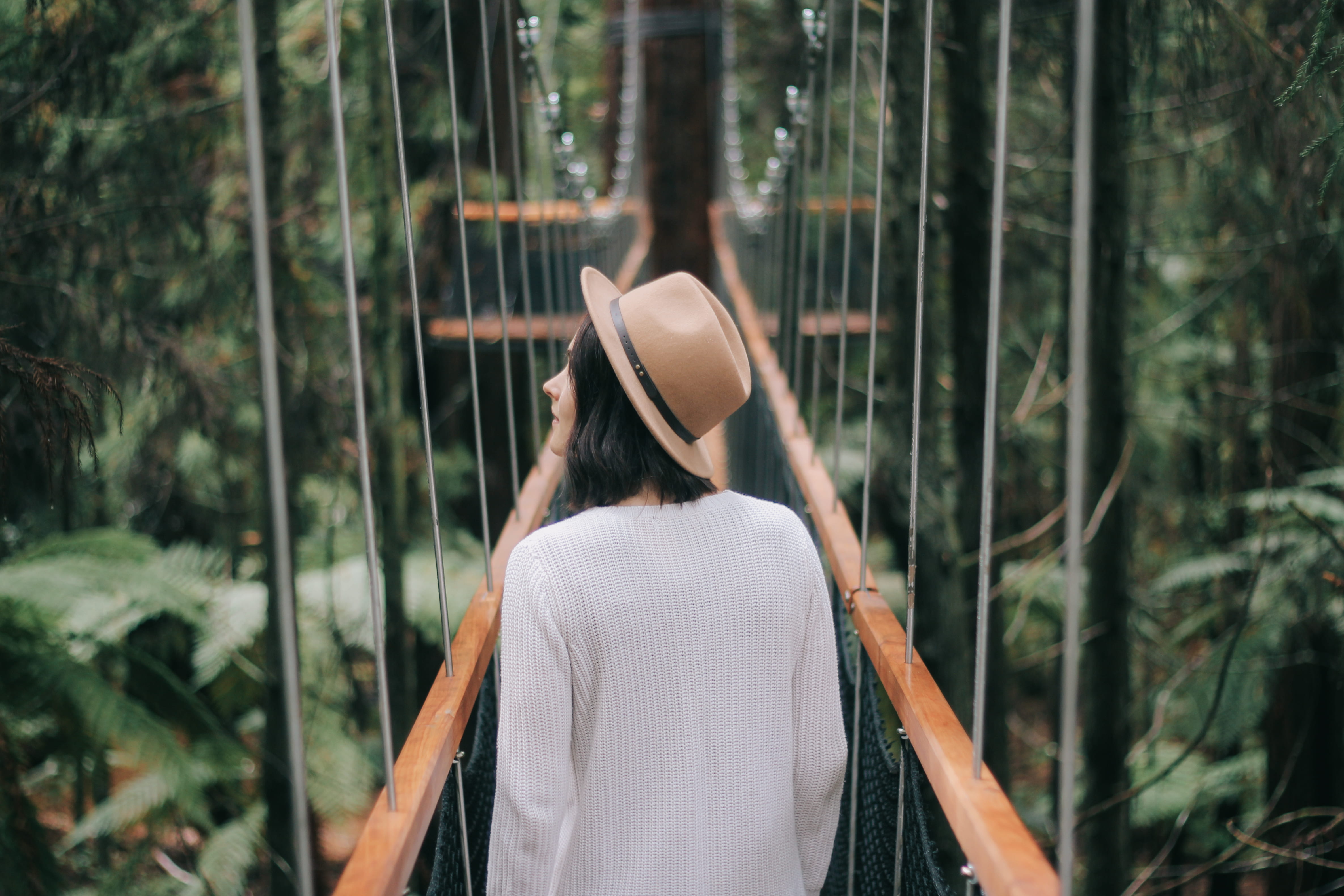 young women, outdoors, brown, land, forest, redwood, hat, suspension bridge, woman, crossing, hairstyle, one person, plant, looking at view, day, young adult, HD Wallpaper