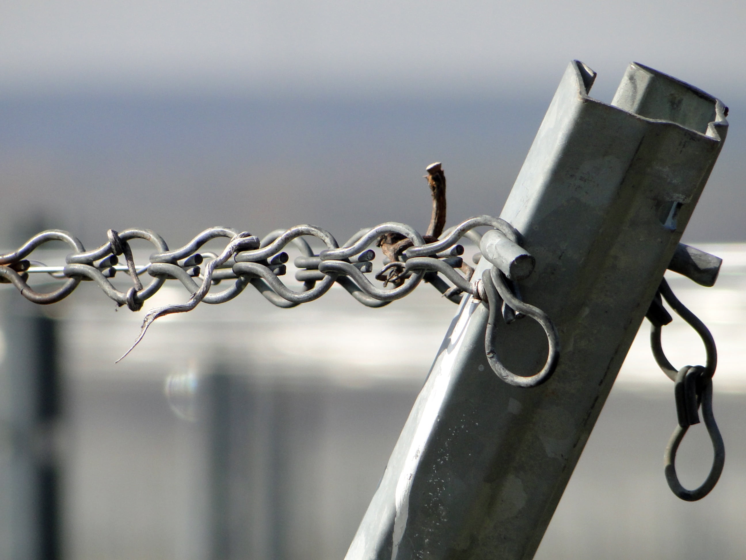 barrier, wine, sky, water, vines, safety, boundary, silver colored, lock, security, iron - metal, focus on foreground, close-up, wire, fence, suspension, HD Wallpaper