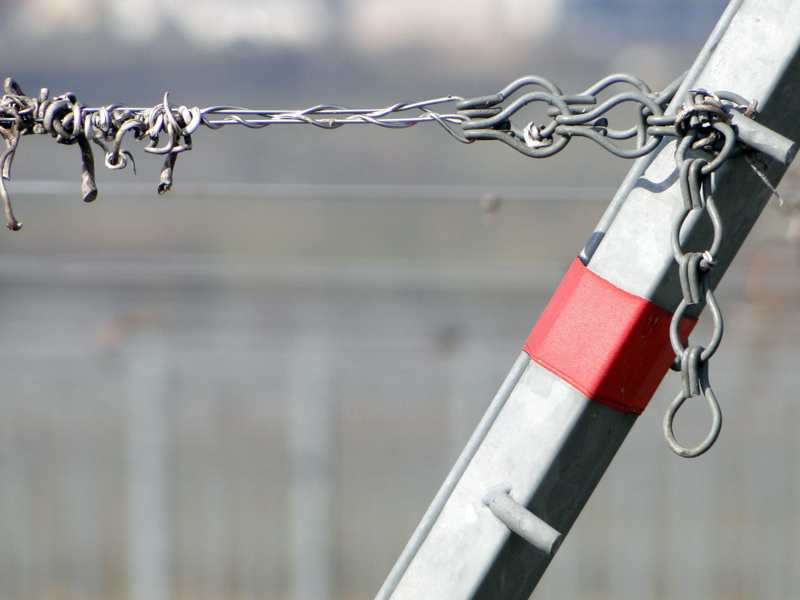 mark, no people, barrier, alloy, water, Vineyard, detention, security, tools, protection, outdoors, metal, 2K, Vines, steel, lock, hanging, Wire, grapevine, HD Wallpaper