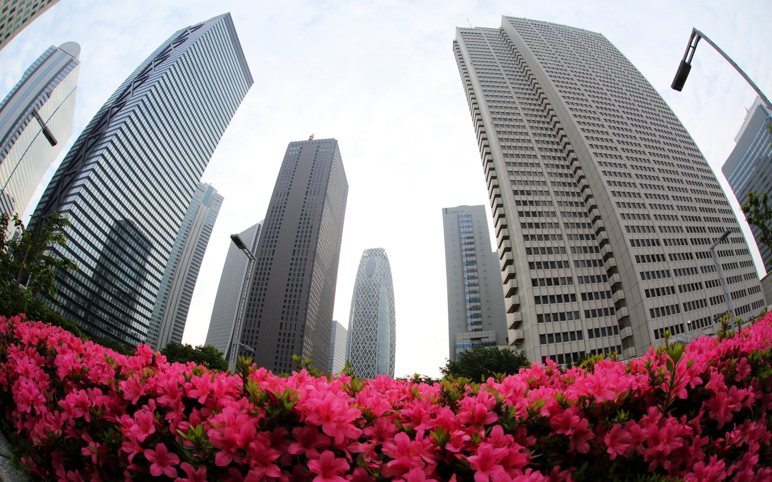 fisheye lens, two, growth, tower, no people, 2K, office building exterior, office, tall - high, skyscraper, cityscape, metal, gray, city, ramps, building exterior, HD Wallpaper