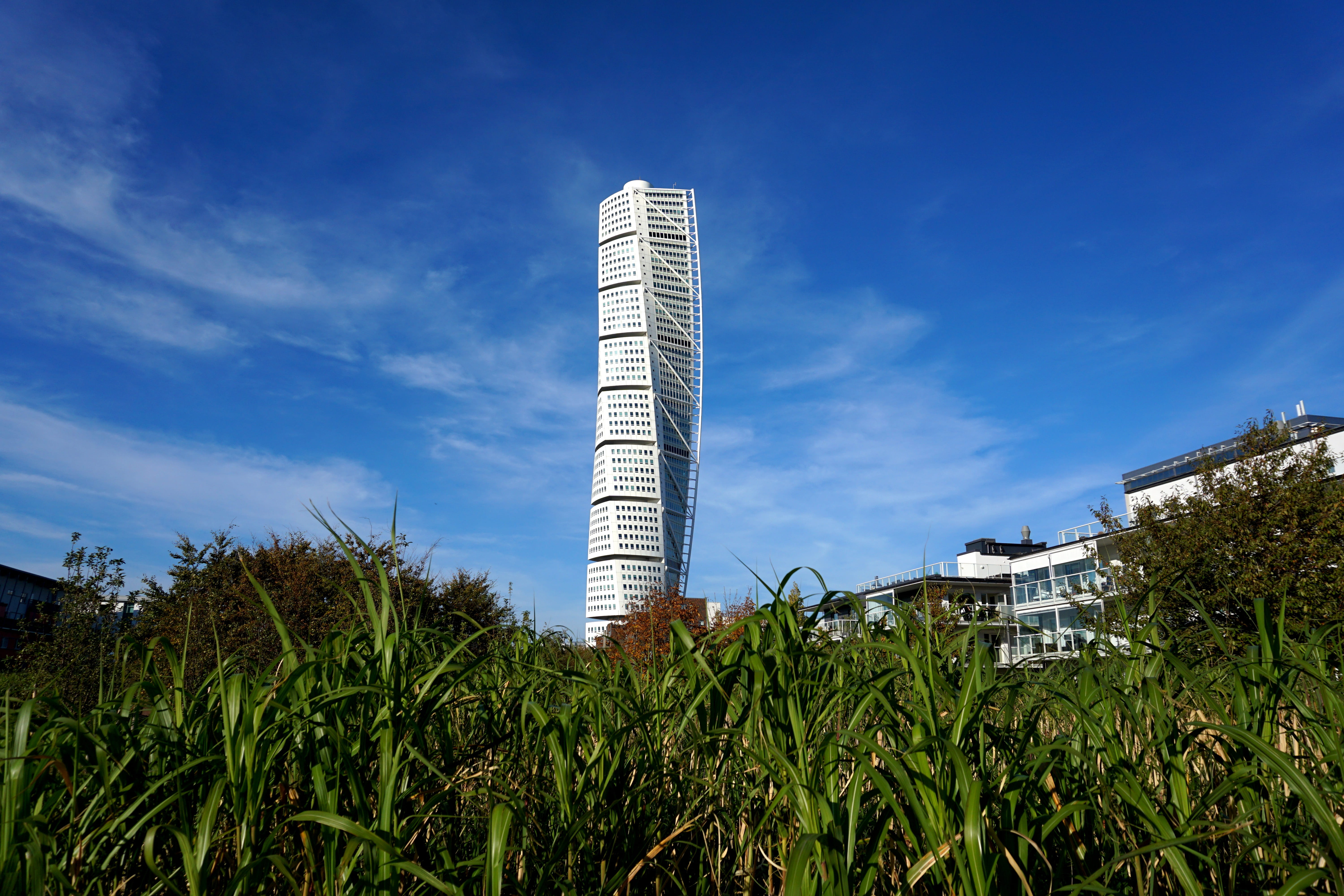 factory, tree, tall - high, landmark, sky, ribersborg, growth, 5K, plant, malmö, no people, blue, turning, nature, twist, outdoors, office building exterior, HD Wallpaper