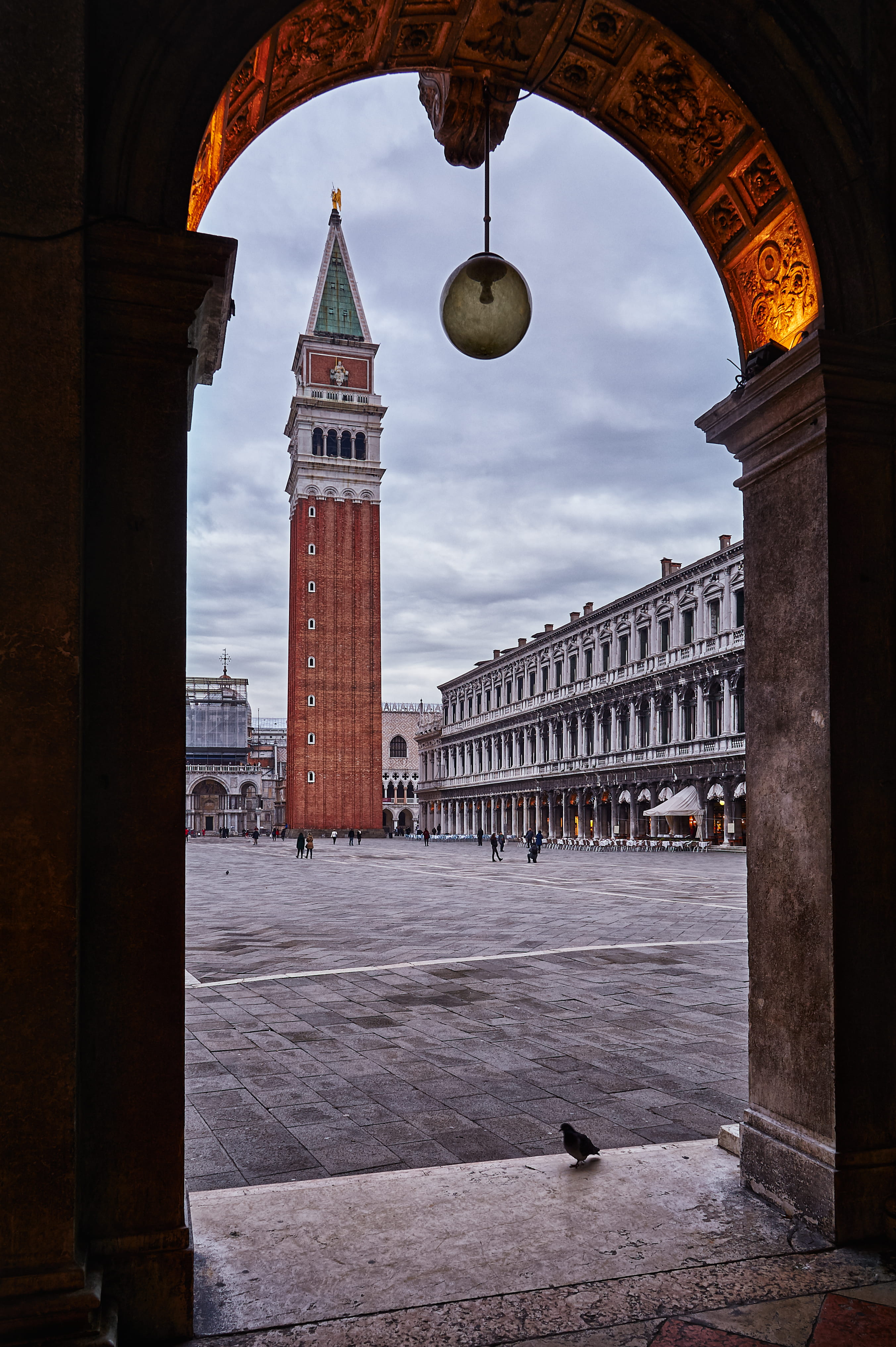 built structure, venice, summer, tower, canal, italian, animal, european, nature, travel destinations, day, sunny, sky, cathedral, architecture, europe, Phone HD Wallpaper