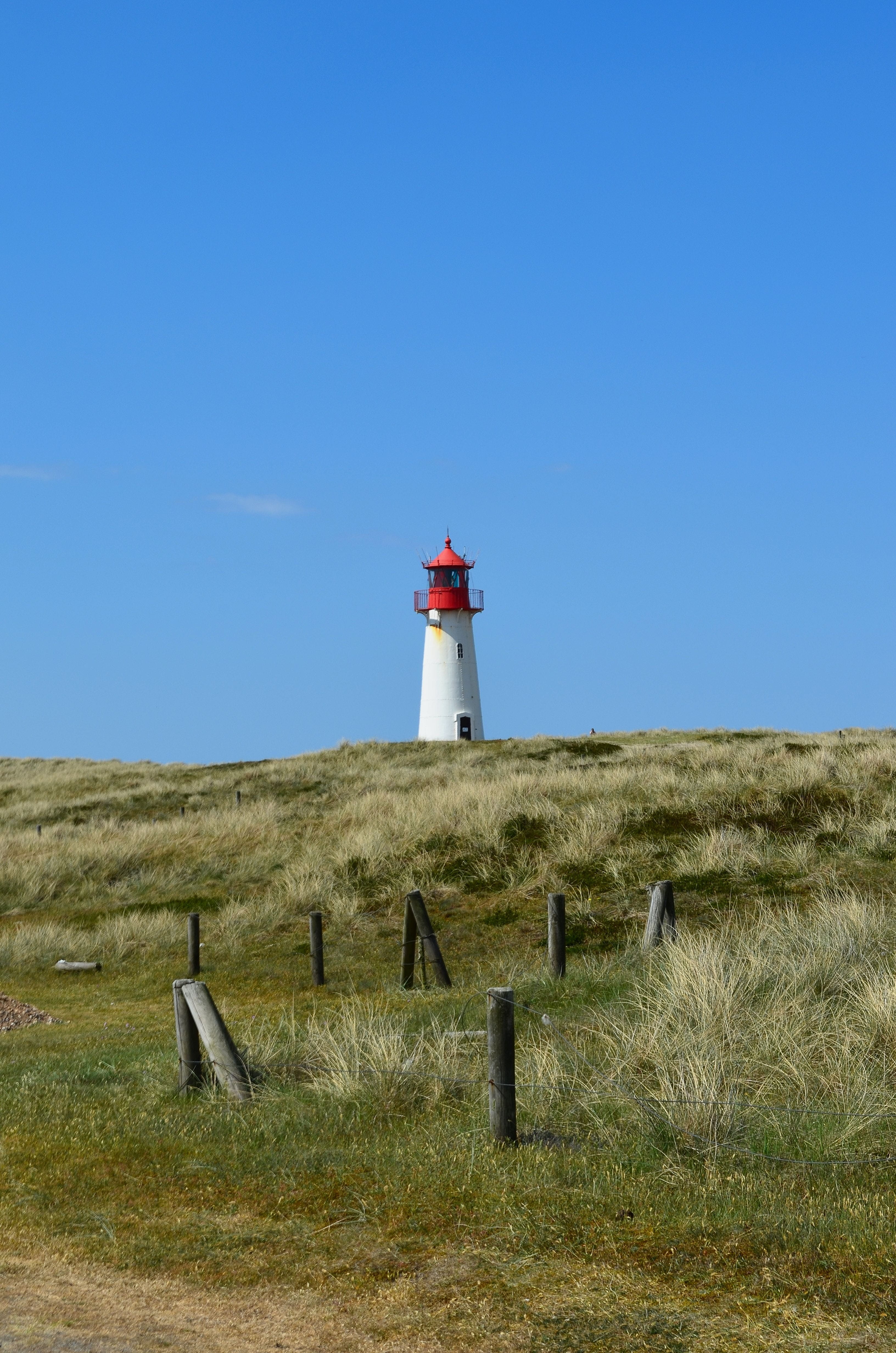 no people, architecture, building exterior, sky, grasses, lighthouse, outdoors, landscape, elbow, nature, island end, daymark, sea, shipping, field, safety, Phone HD Wallpaper