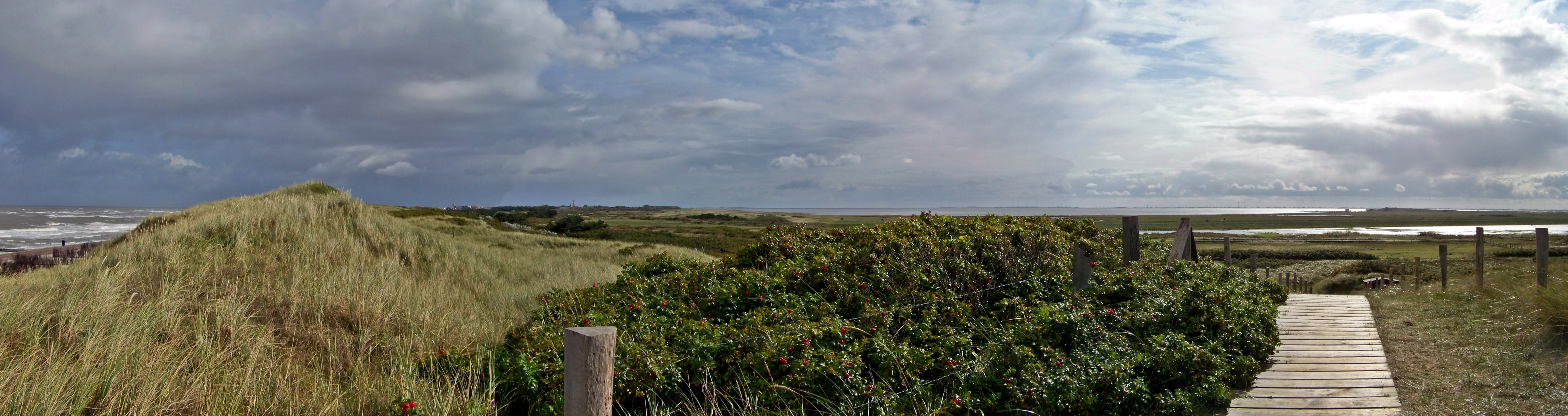 scenics - nature, beauty in nature, brown, tide, horizon, environment, landscape, broadband, Panorama, blanker hans, nature, sea, outlook, no people, grog, HD Wallpaper