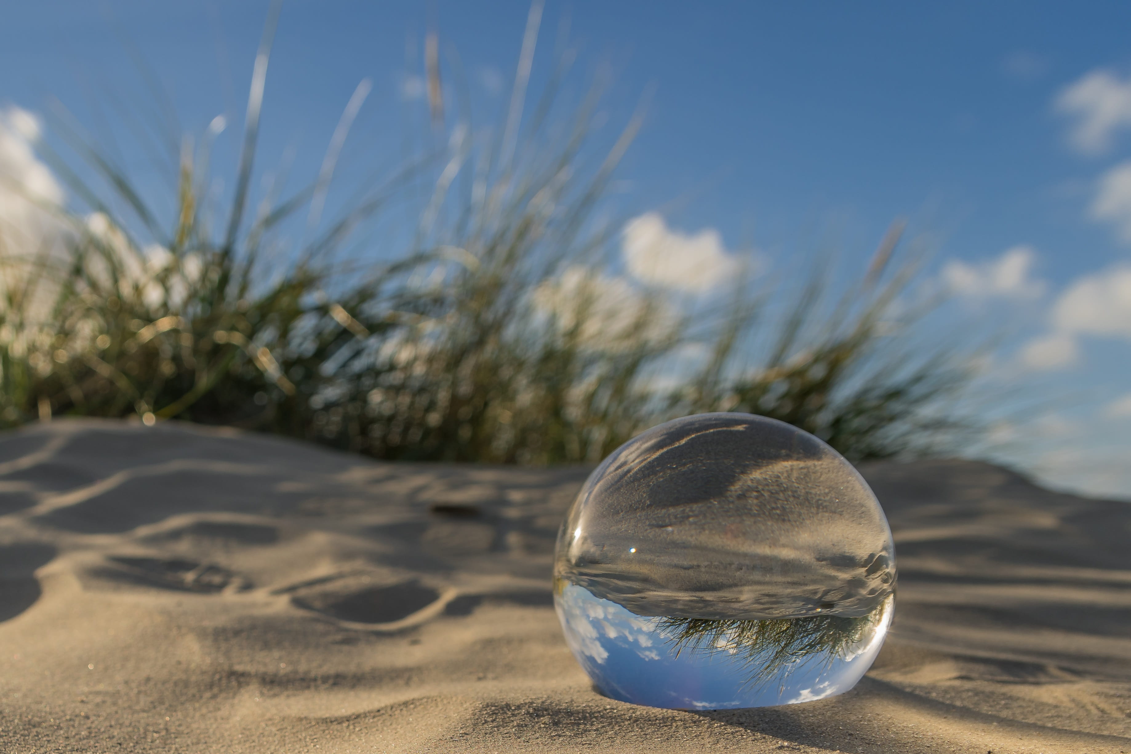 north sea, environment, sunlight, plant, wadden sea, day, glass ball, mood, transparent, close-up, no people, glass, landscape, sky, norddeich, 2K, glass - material, HD Wallpaper