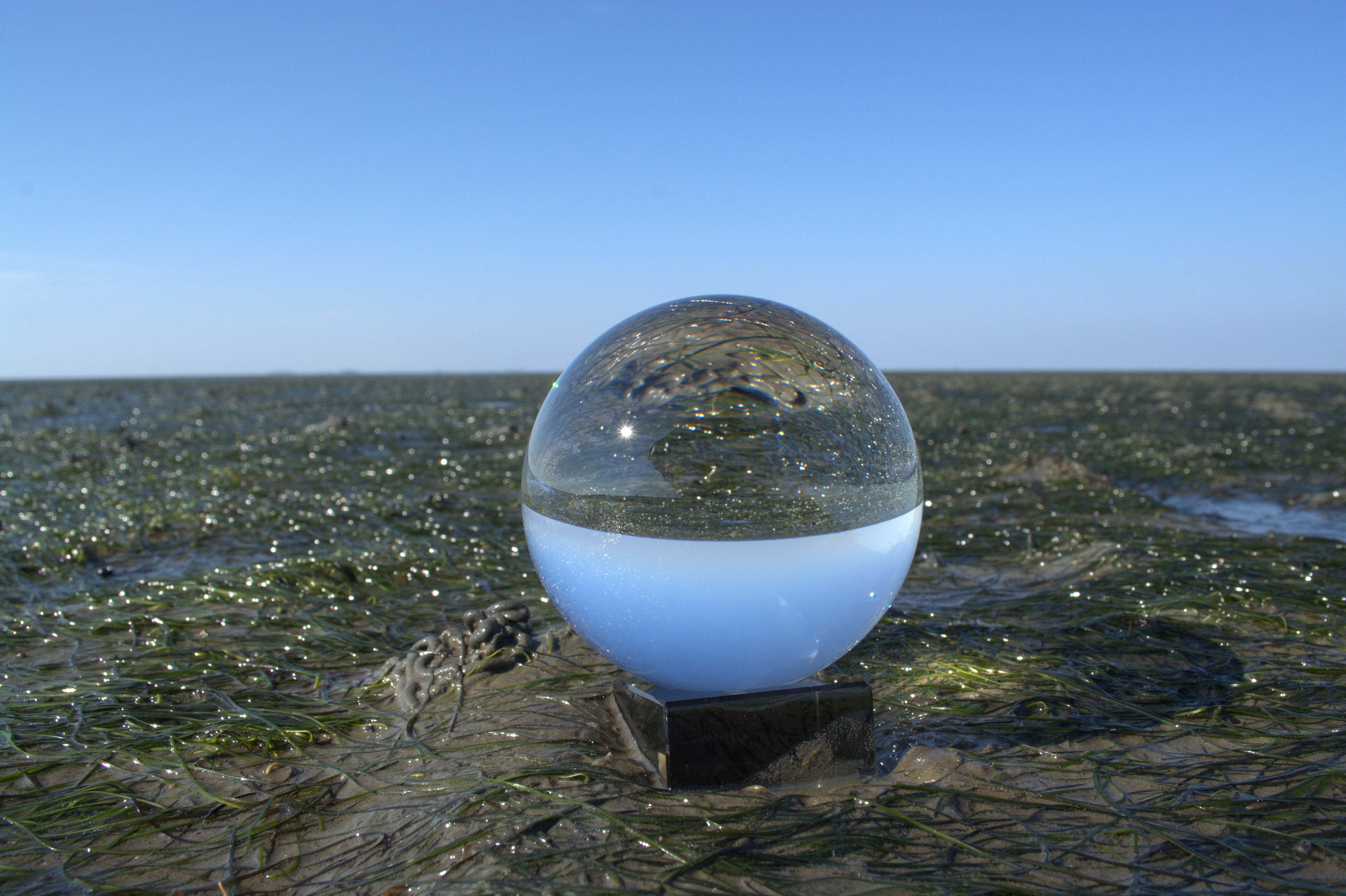 Photo, horizon over land, horizon, nature, sky, sphere, copy space, mirroring, clear sky, North Sea, no people, environment, single object, plant, watts, HD Wallpaper