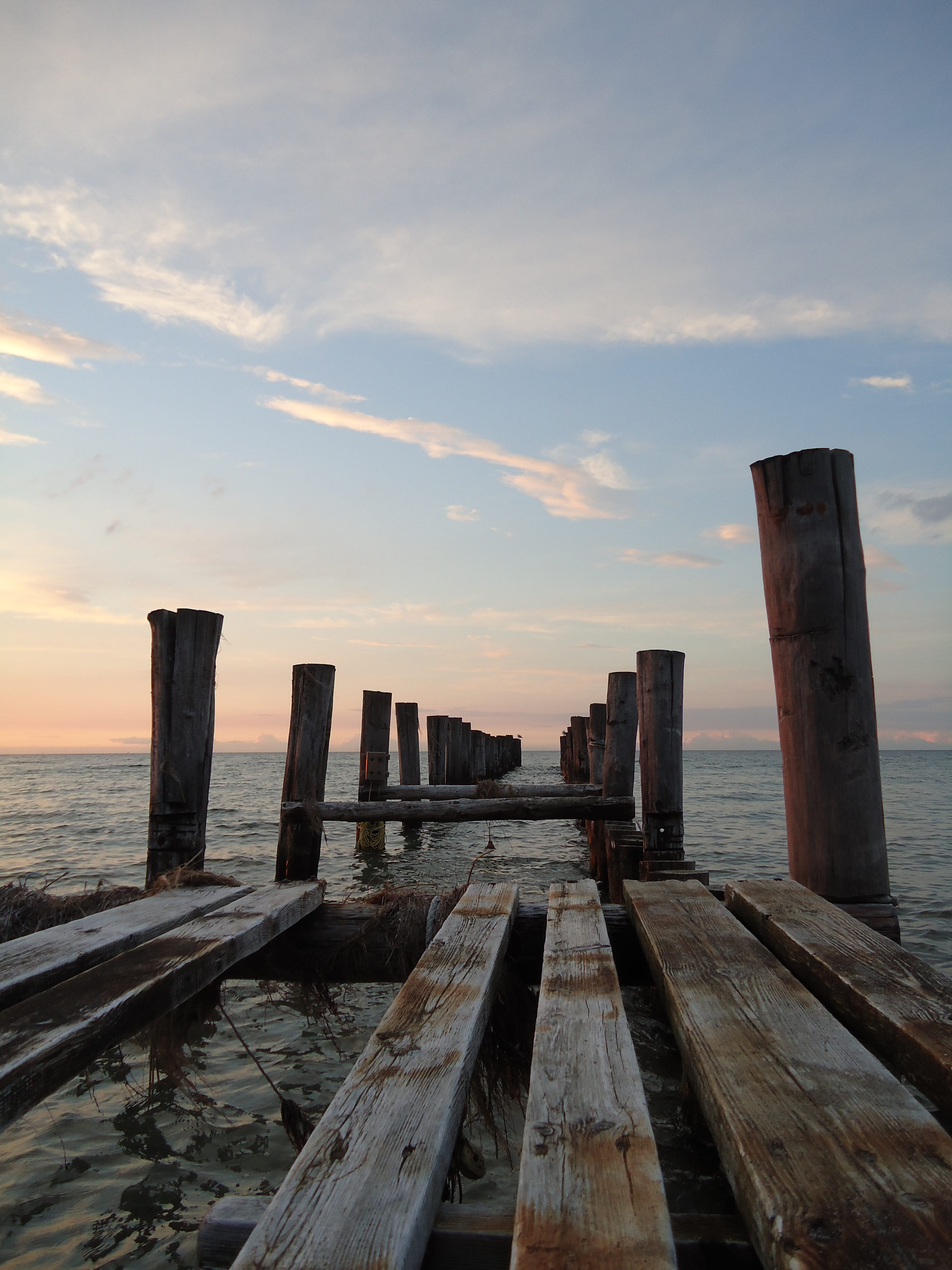 no people, wooden posts, outdoors, 4K, nature, coast, twilight, pier, post, building exterior, wood - material, Posts, sky, northern germany, Baltic Sea, Phone HD Wallpaper