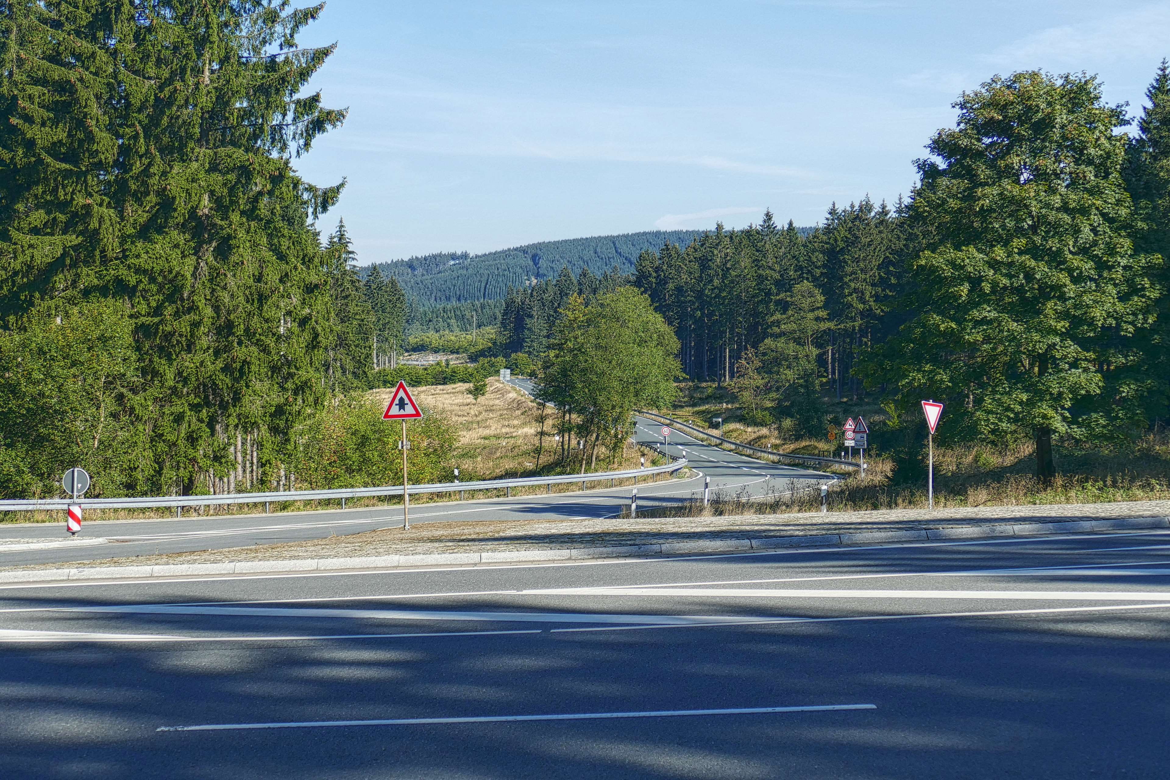 road, city, trees, forest, view, federal street, plant, resin high street, direction, sky, road sign, no people, overtaking, blue, traffic, mode of transportation, HD Wallpaper