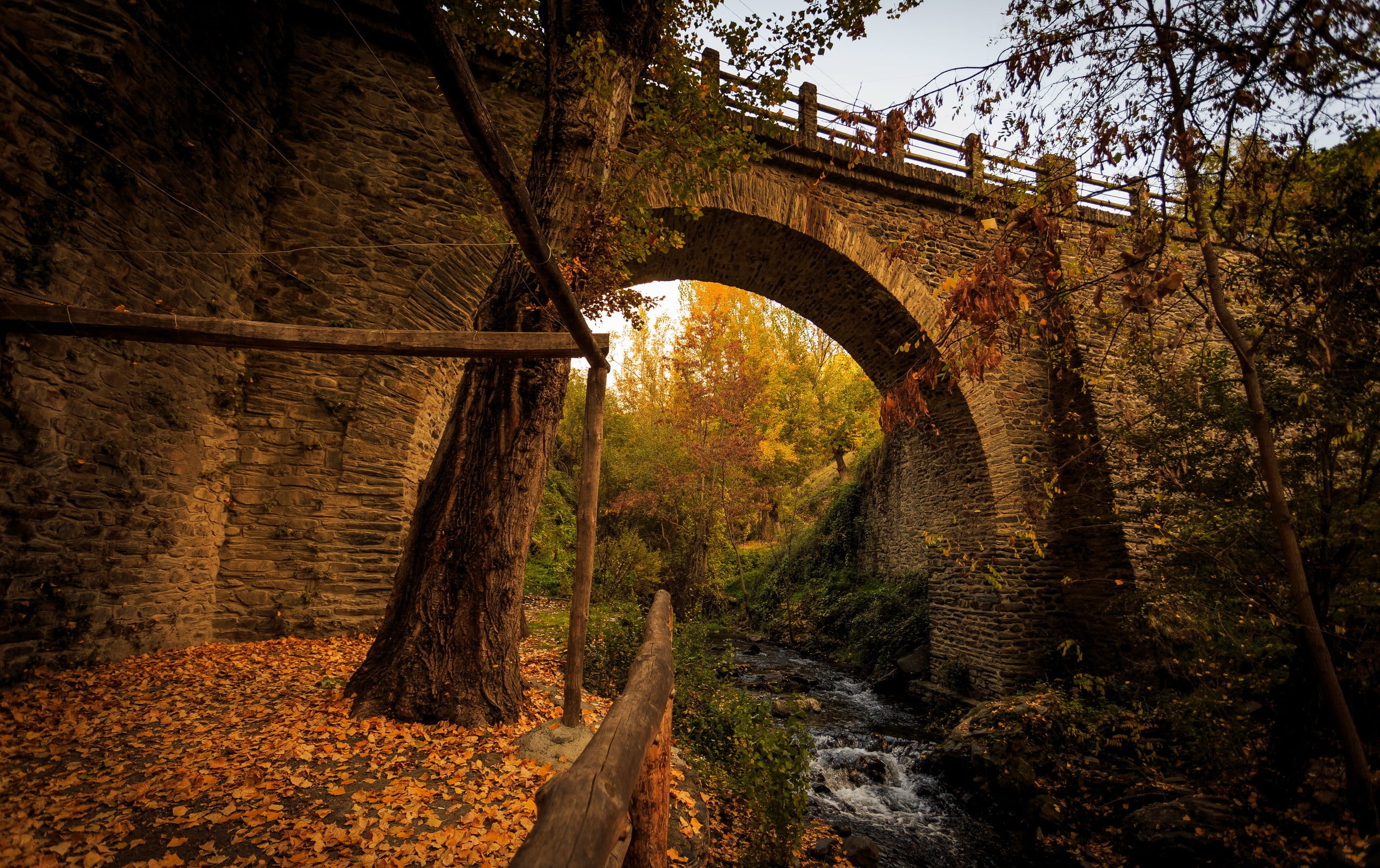 nature, stone Material, transportation, daytime, old, tree, history, leaves, autumn, forest, rock - Object, near, plant, brown, footpath, landscape, tunnel, HD Wallpaper