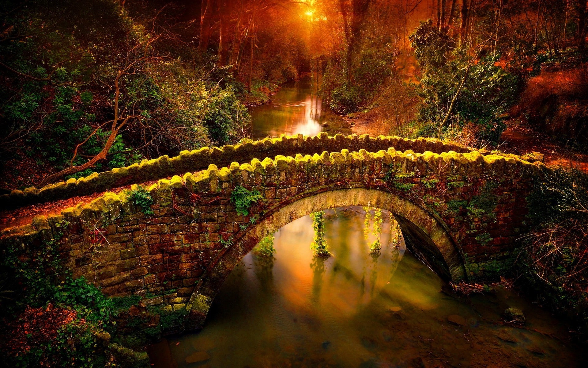 nature landscape colorful sunset bridge forest river shrubs bricks path hill, tree, stream - flowing water, no people, scenics - nature, illuminated, plant, HD Wallpaper