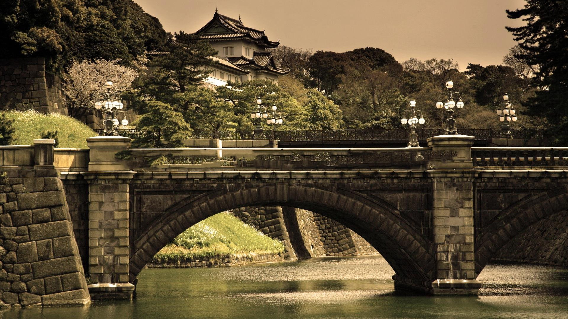 1080P, tree, bridge, river, 1920x1080, grey, concrete, brown, world, building, brick, HD Wallpaper