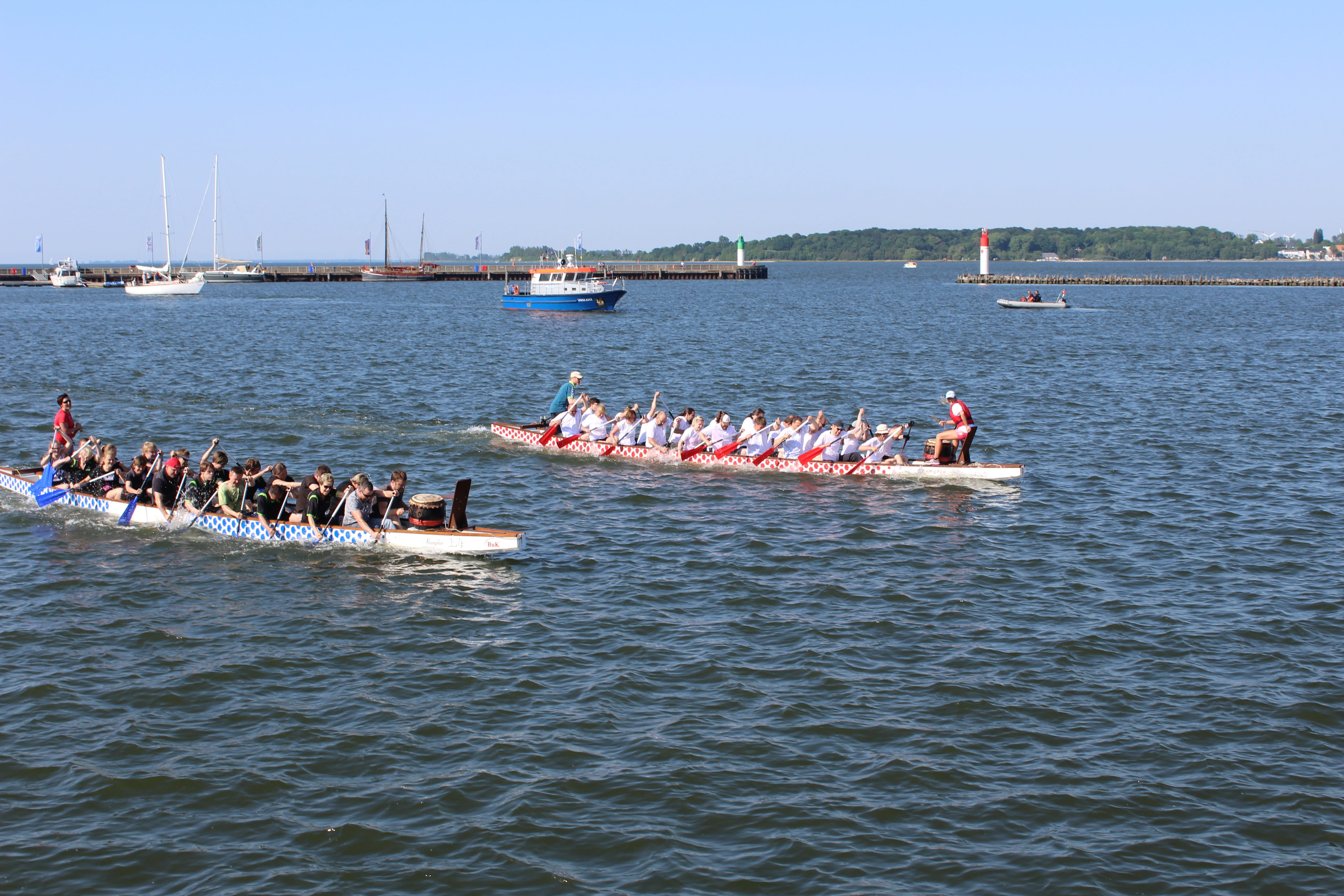 sports race, 5K, day, baltic sea, real people, strelasund, stralsund, sport, sky, sports activity, sea, rowboat, rowing, transportation, competition, sport rowing, HD Wallpaper