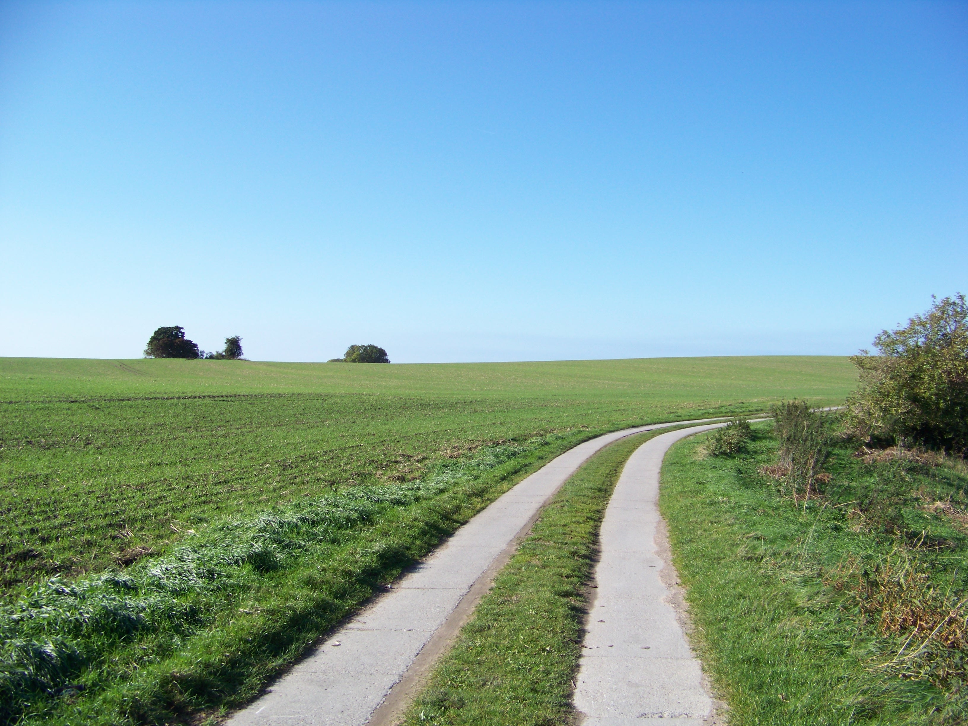 grün, rügen, agriculture, meer, himmel, curve, grass field, baltic  sea, germany, road, nature, ruegen, grass, field, blue, deutschland, green grass, feld, HD Wallpaper