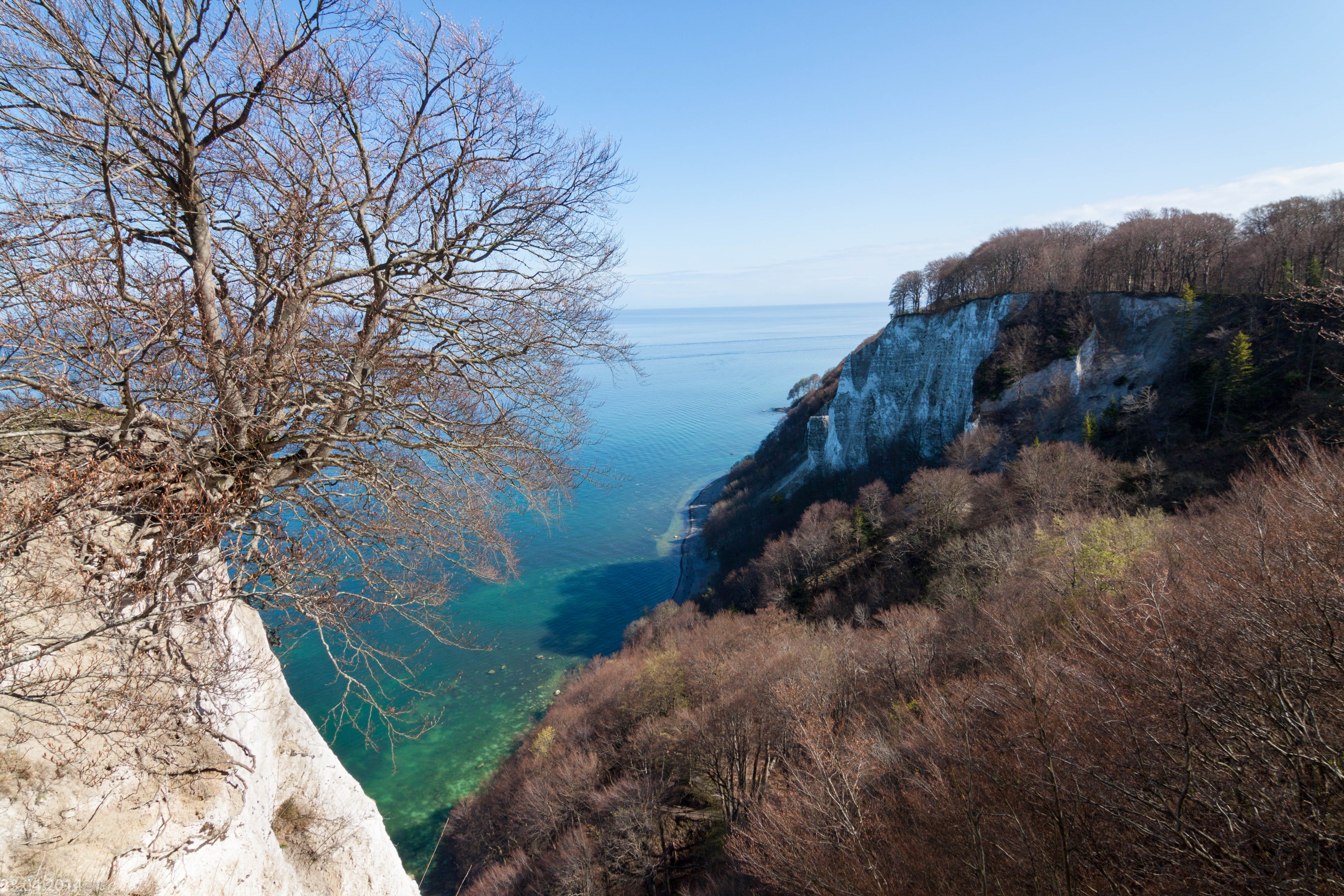 scenics, branch, nature, blue, königstuhl, cliff, landscape, outdoors, water, tree, clear sky, white cliffs, rügen, day, 4K, land, plant, mountain, environment, HD Wallpaper
