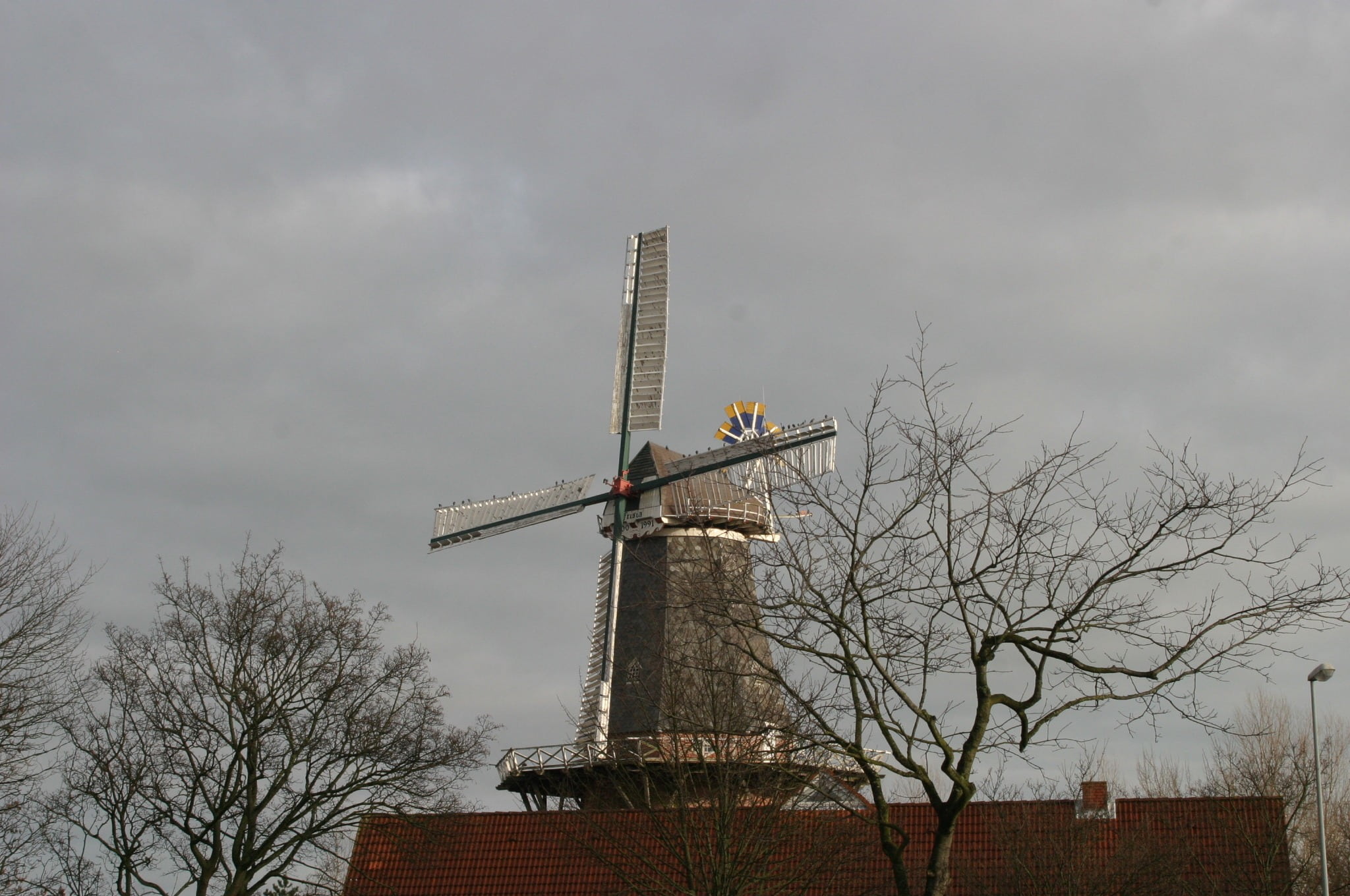 baltic sea, 1080P, environmental conservation, turbine, building exterior, no people, overcast, nature, mill, clouds, tree, low angle view, bare tree, HD Wallpaper