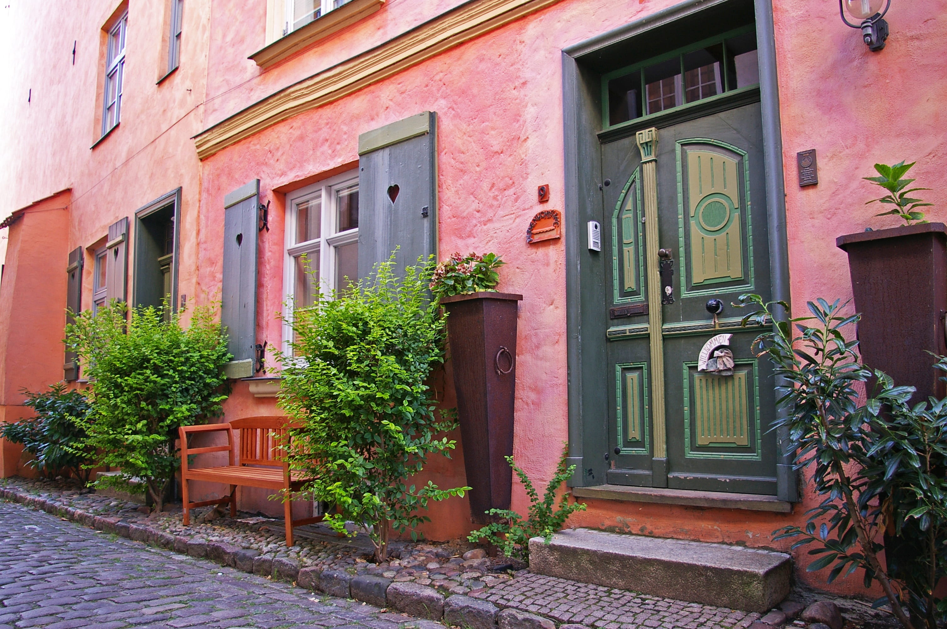 plant, closed, row house, stralsund, middle ages, live, port city, entrance door, old wooden door, hanseatic city, door, shutters, historic center, house, HD Wallpaper