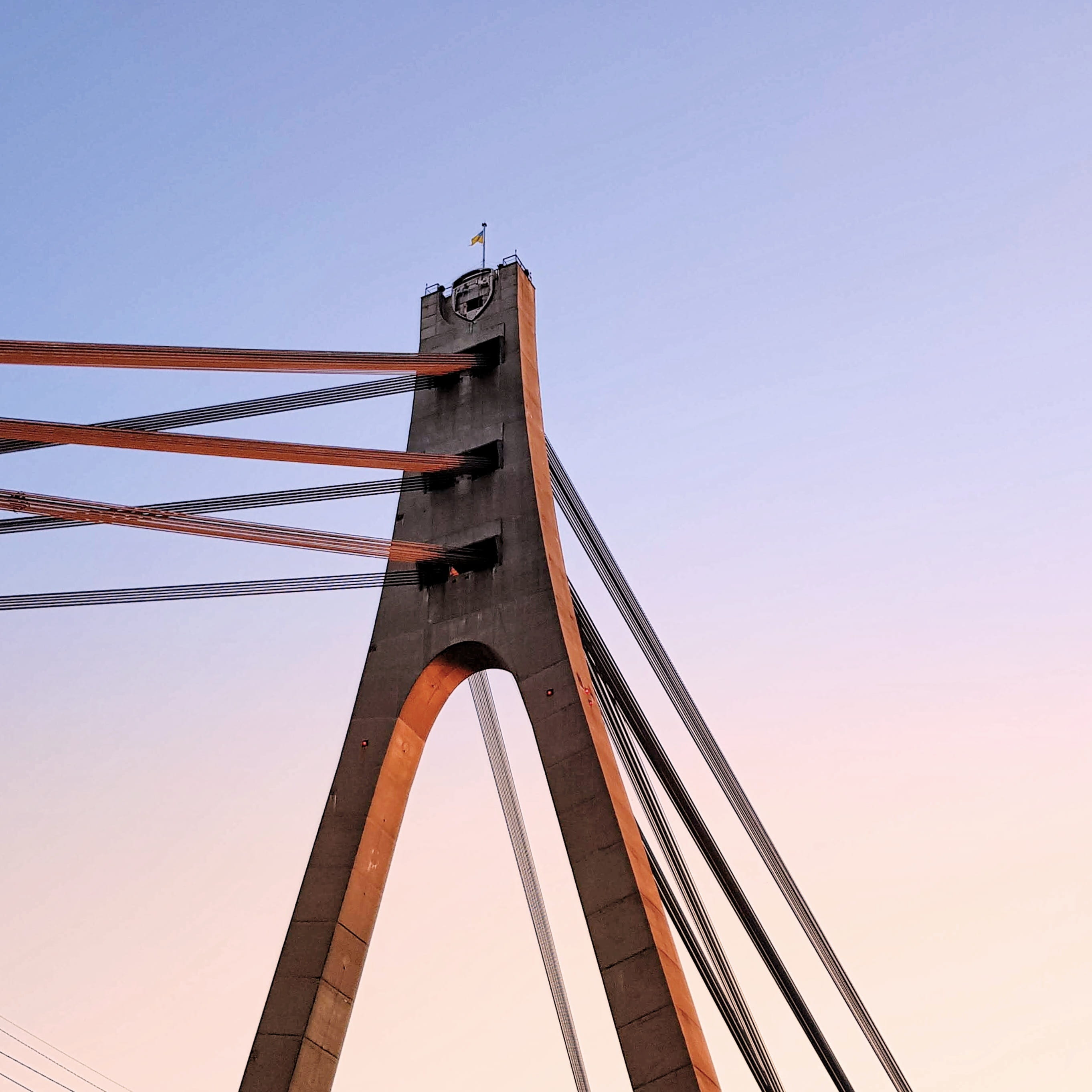 animal, travel destinations, kiev, built structure, engineering, day, transportation, 2K, bridge, connection, clear sky, seagull, steeple, bird, pedestrian, Phone HD Wallpaper