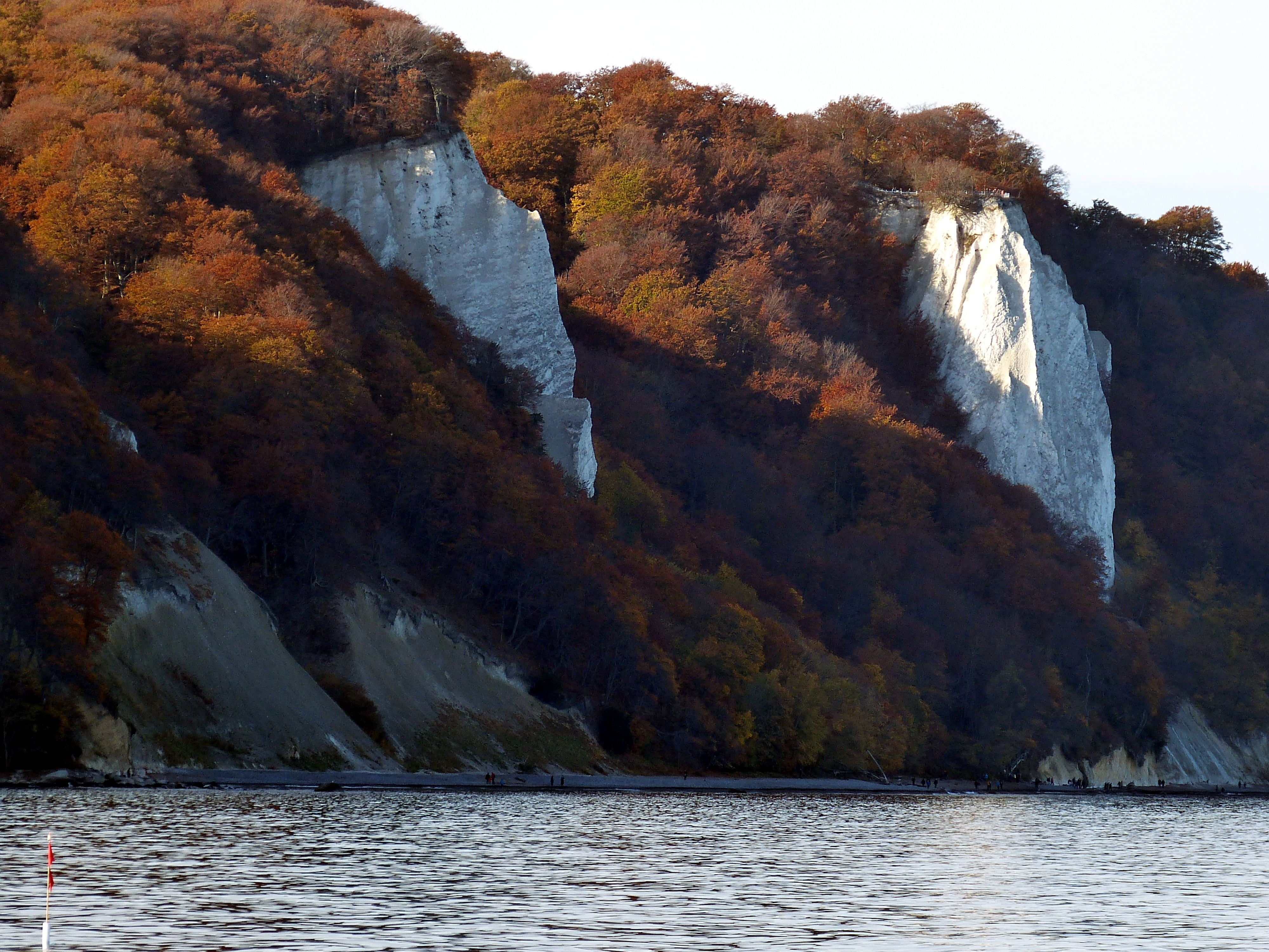 sea, waterfront, scenics - nature, coast, cliffs, rock, plant, white cliffs, rügen, beauty in nature, water, change, rügen island, baltic sea, autumn, chalkboard, HD Wallpaper