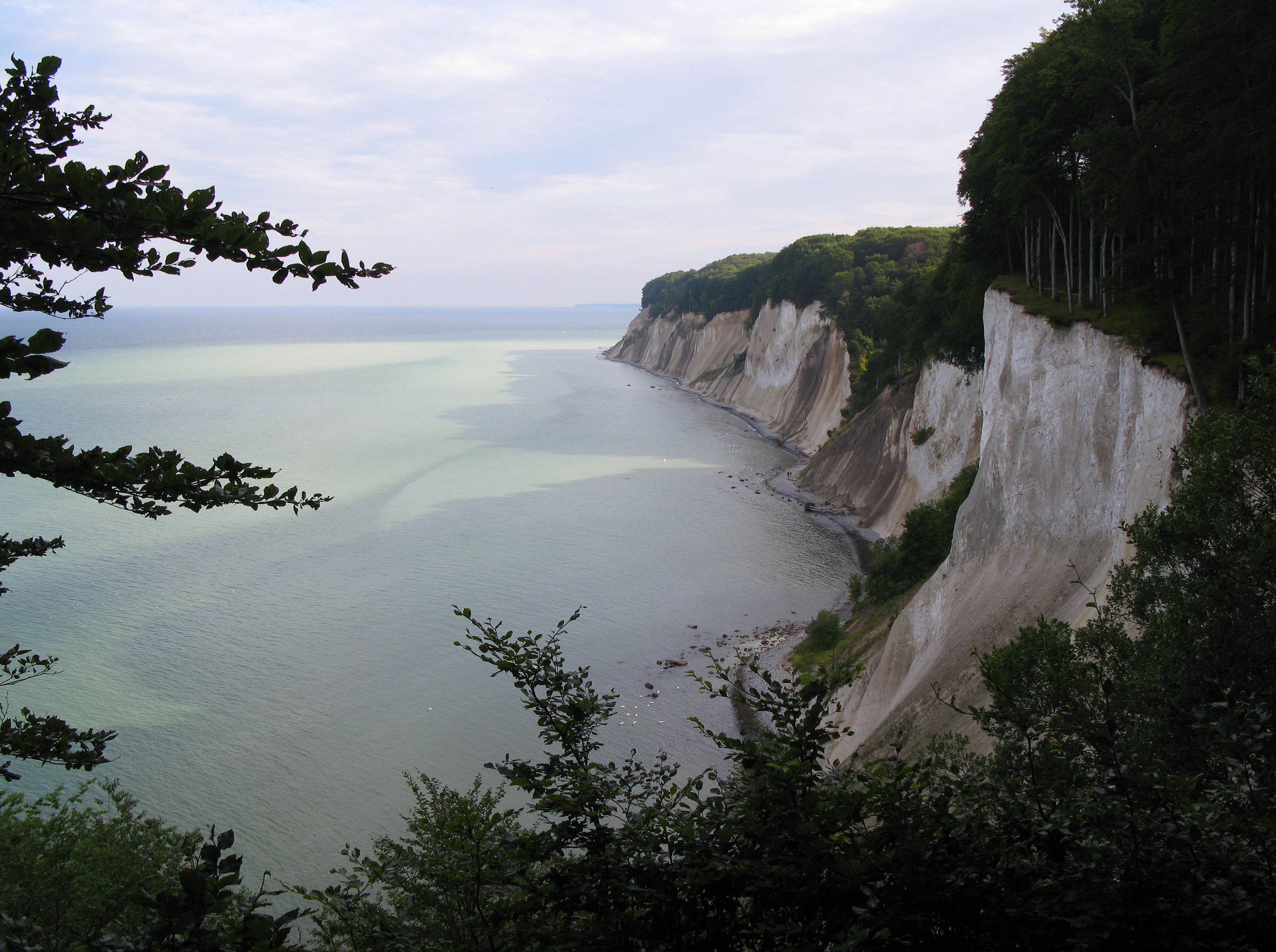 sky, baltic sea, scenics - nature, non-urban scene, plant, flowing, jasmund, no people, land, white cliffs, tranquil scene, growth, cloud - sky, day, nature, HD Wallpaper