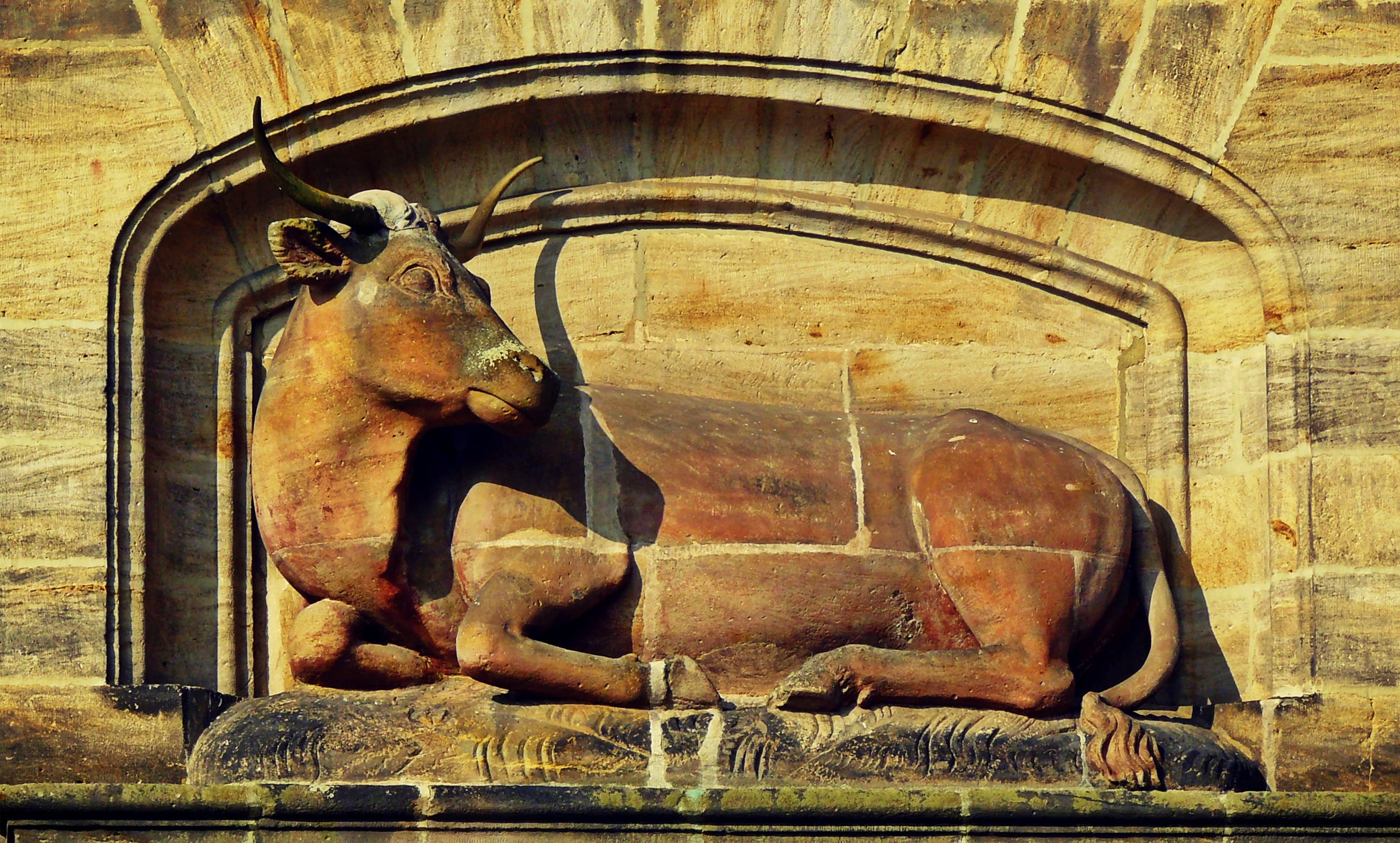 mount, indoors, Beef, Stone, wall, day, 2K, one animal, representation, animal themes, wall - building feature, wall mount, masonry, statue, Sculpture, HD Wallpaper