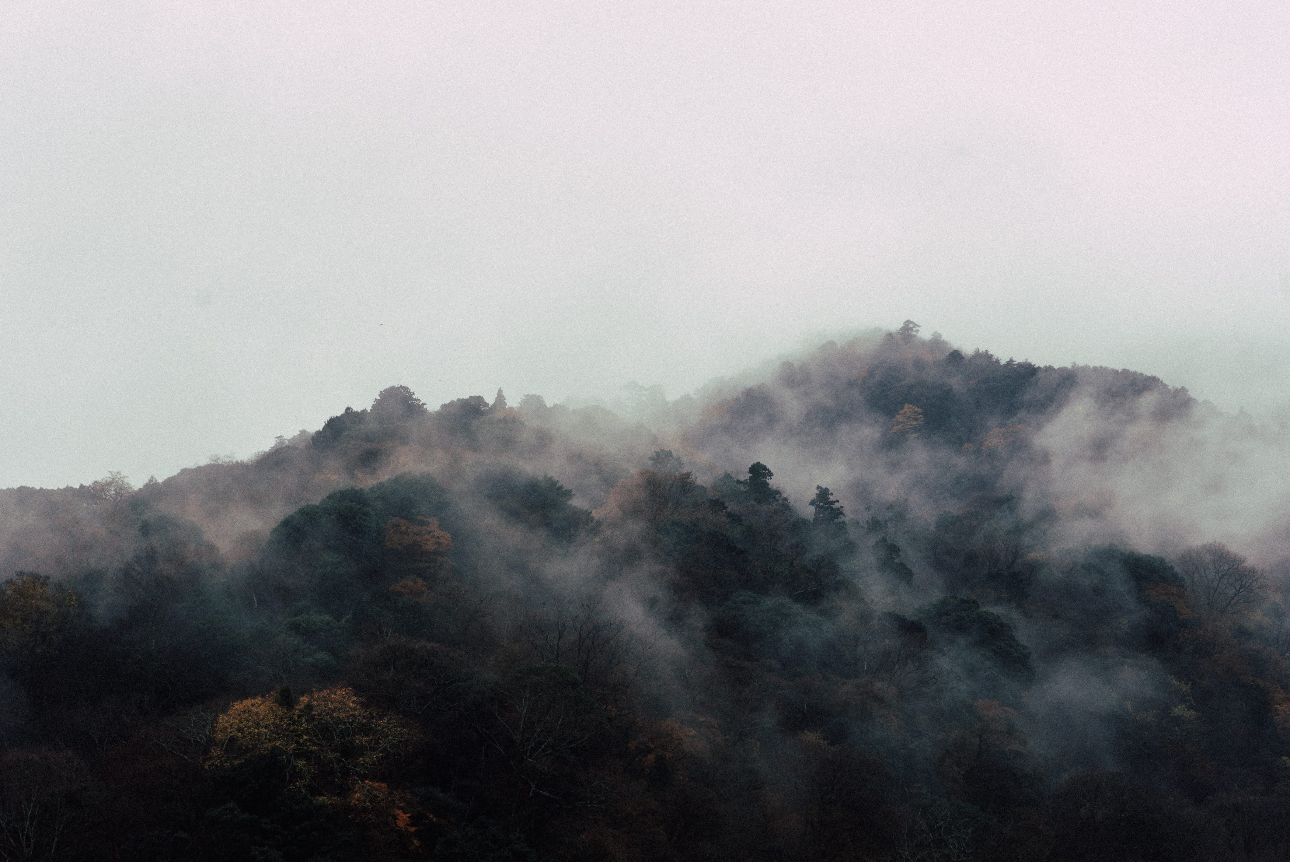 fog, smog, morning, scenics, beauty in nature, photo, sky, no people, Arashiyama, land, plant, photography, cloud - Sky, covered, outdoors, tranquil scene, HD Wallpaper