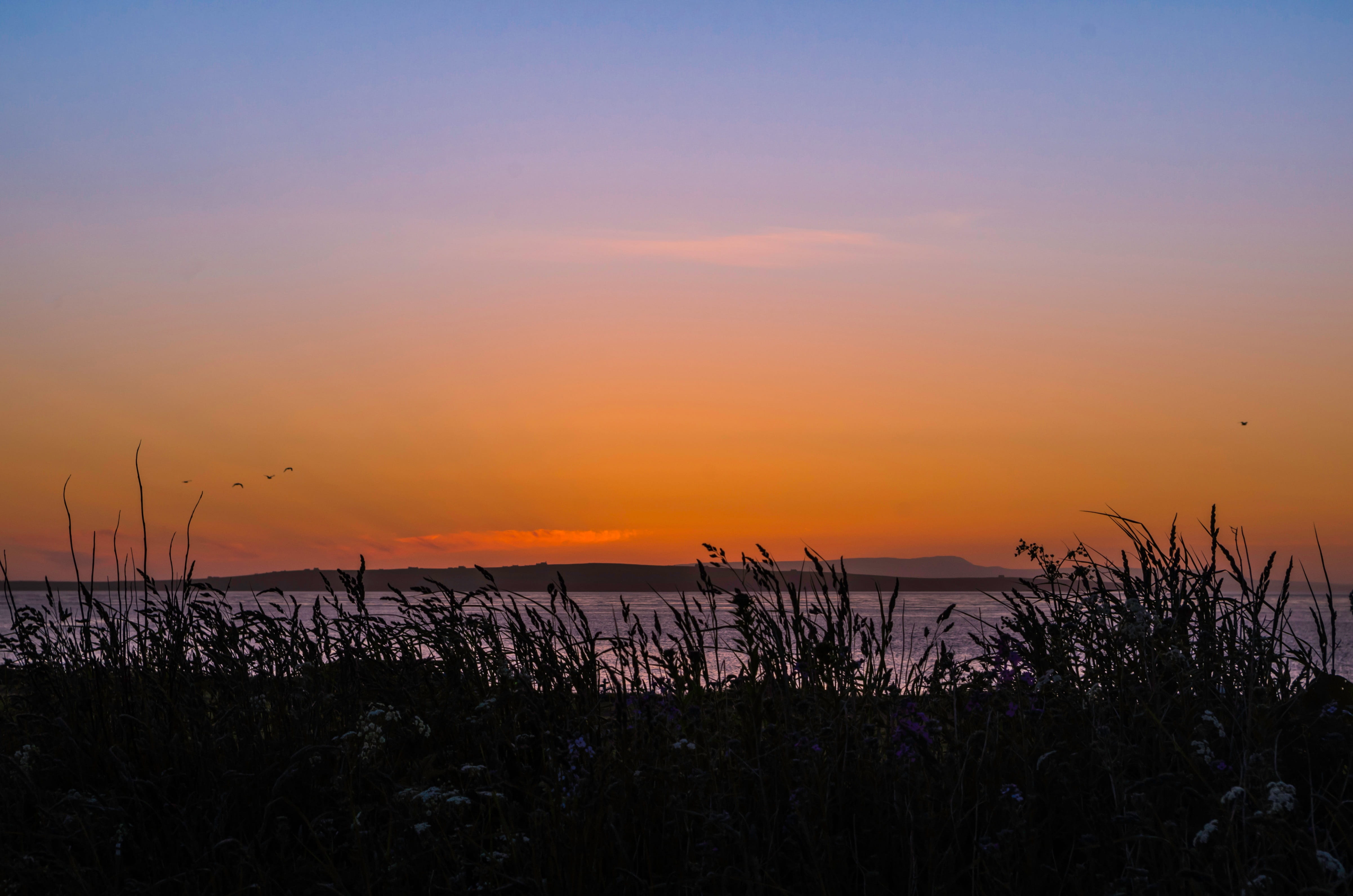 sea, plant, sky, Sunset, no people, horizon, lights up, evening sky, john ogroats, orkney, marram grass, idyllic, tranquility, afterglow, beauty in nature, HD Wallpaper