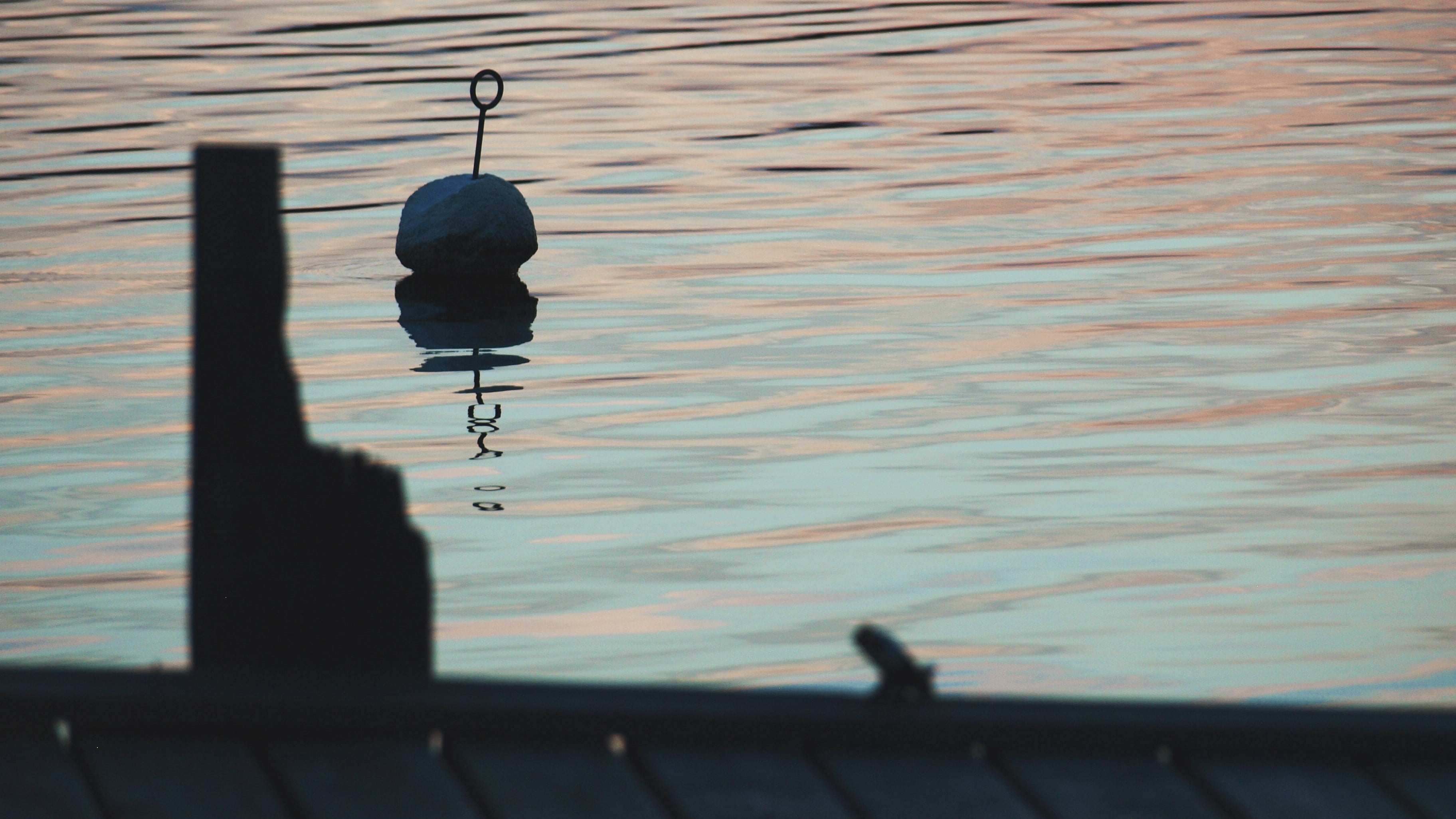high angle view, rippled, buoy, waterfront, reflection, 2K, wharf, day, no people, animal, lake, sunset, one animal, outdoors, water, animals in the wild, HD Wallpaper