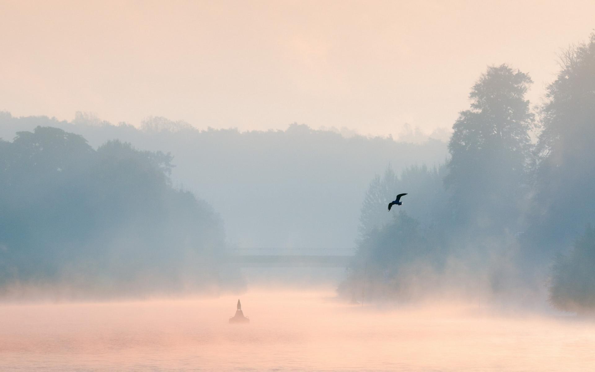bird, nature and landscapes, amazing, bridge, buoy, misty, lake, 1080P, mist, HD Wallpaper