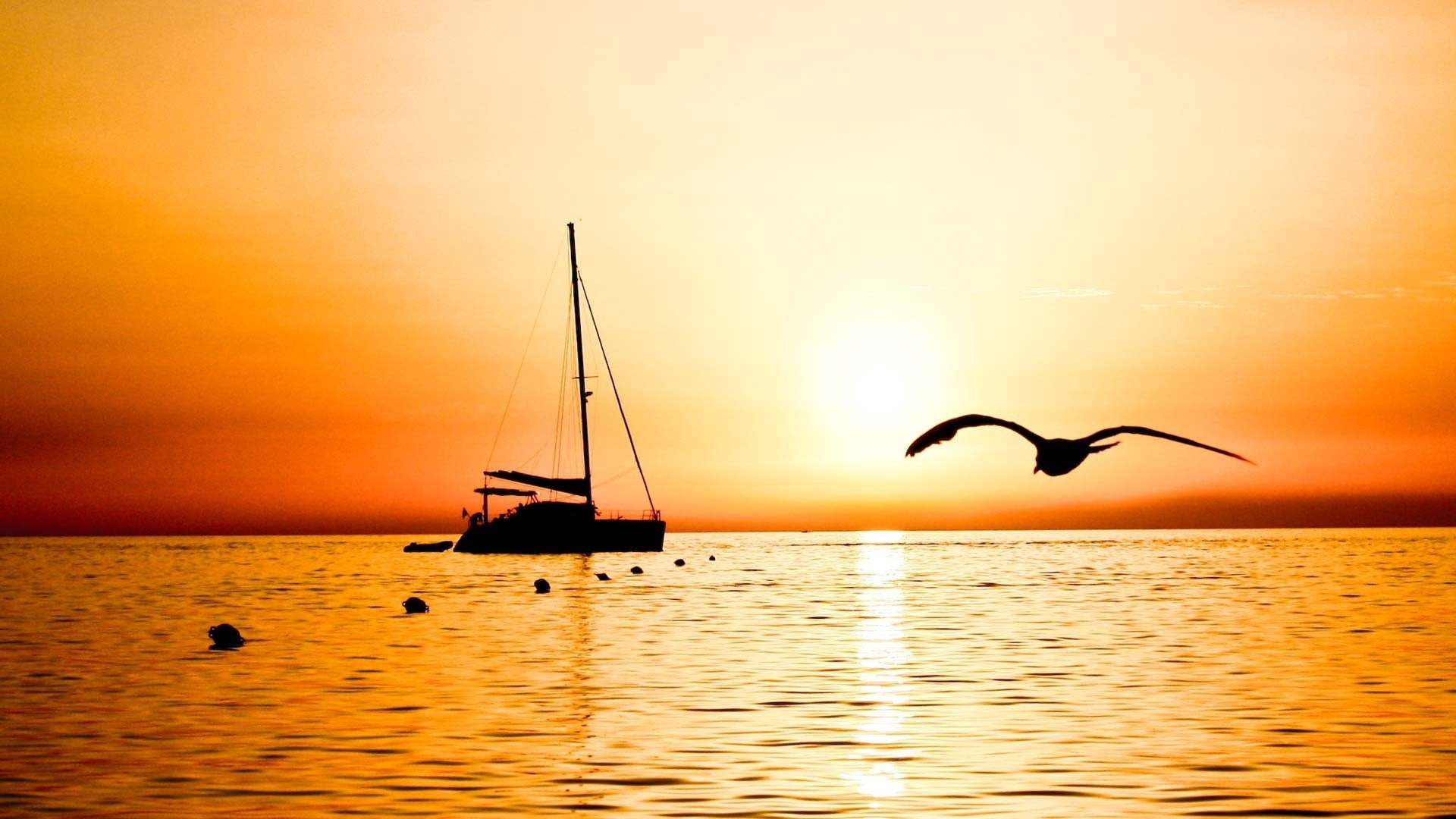 fishing, flight, bird, outlines, evening, sea, anchor buoys, sailing vessel, 1080P, HD Wallpaper
