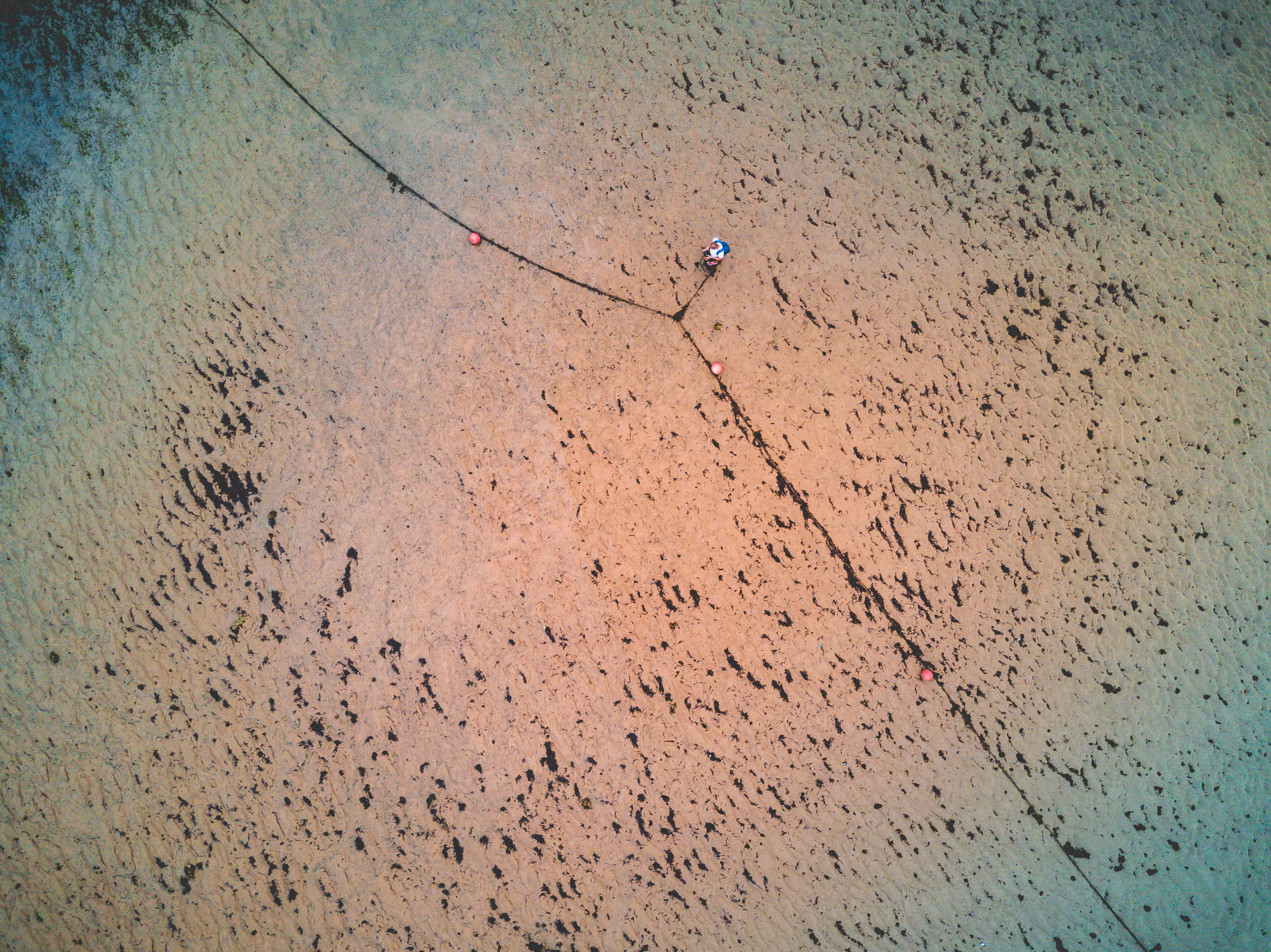 day, blue, sea floor, sunlight, no people, buoy, rain, dji, outdoors, wet, full frame, orange, portrait, ocean floor, sign, seabed, animal, road, vignette, HD Wallpaper