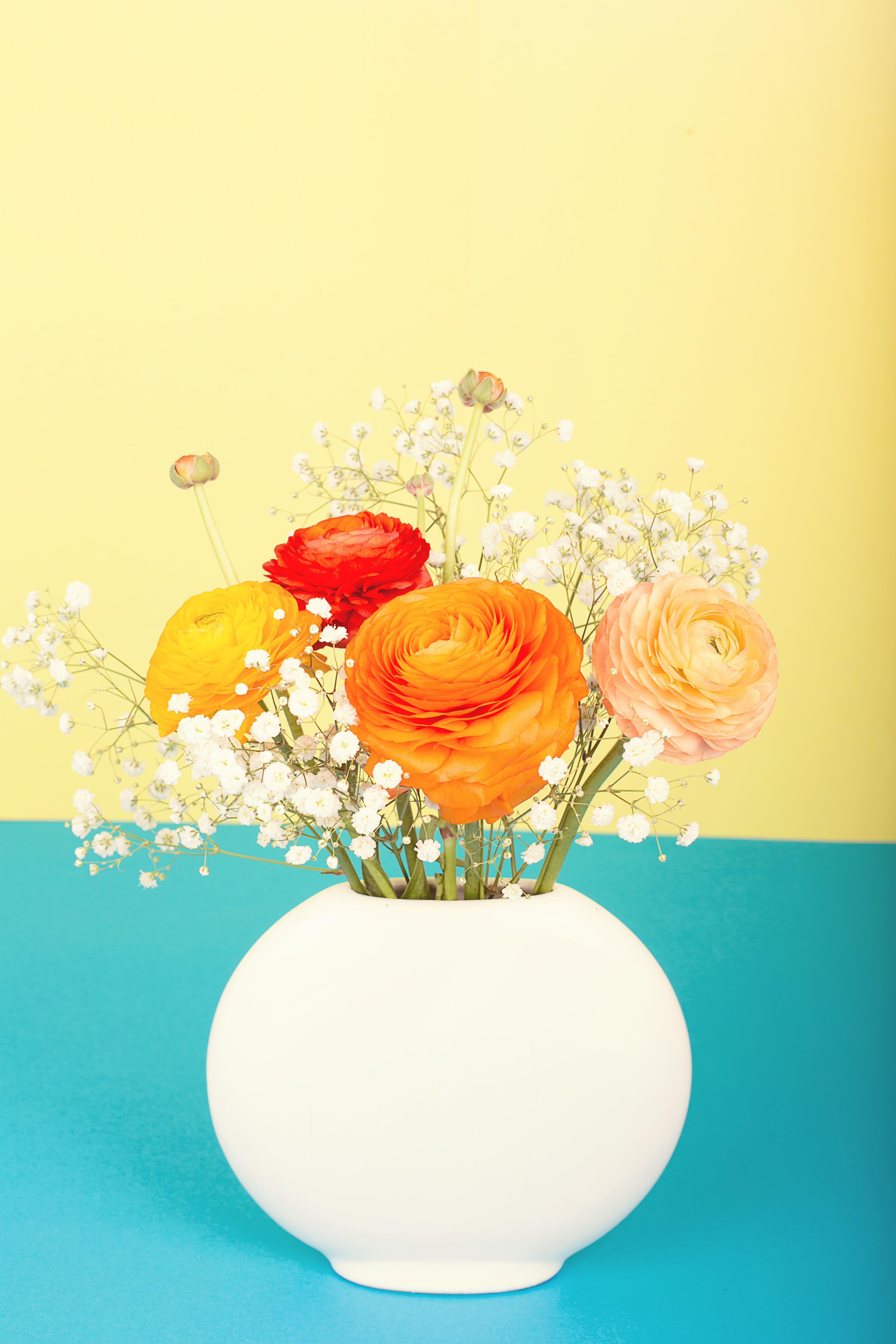 bouquet, close-up, nature, vase, easter, inflorescence, ceramic, decoration, ranunculus, flowers, 5K, blue background, flower head, no people, beauty in nature, Phone HD Wallpaper