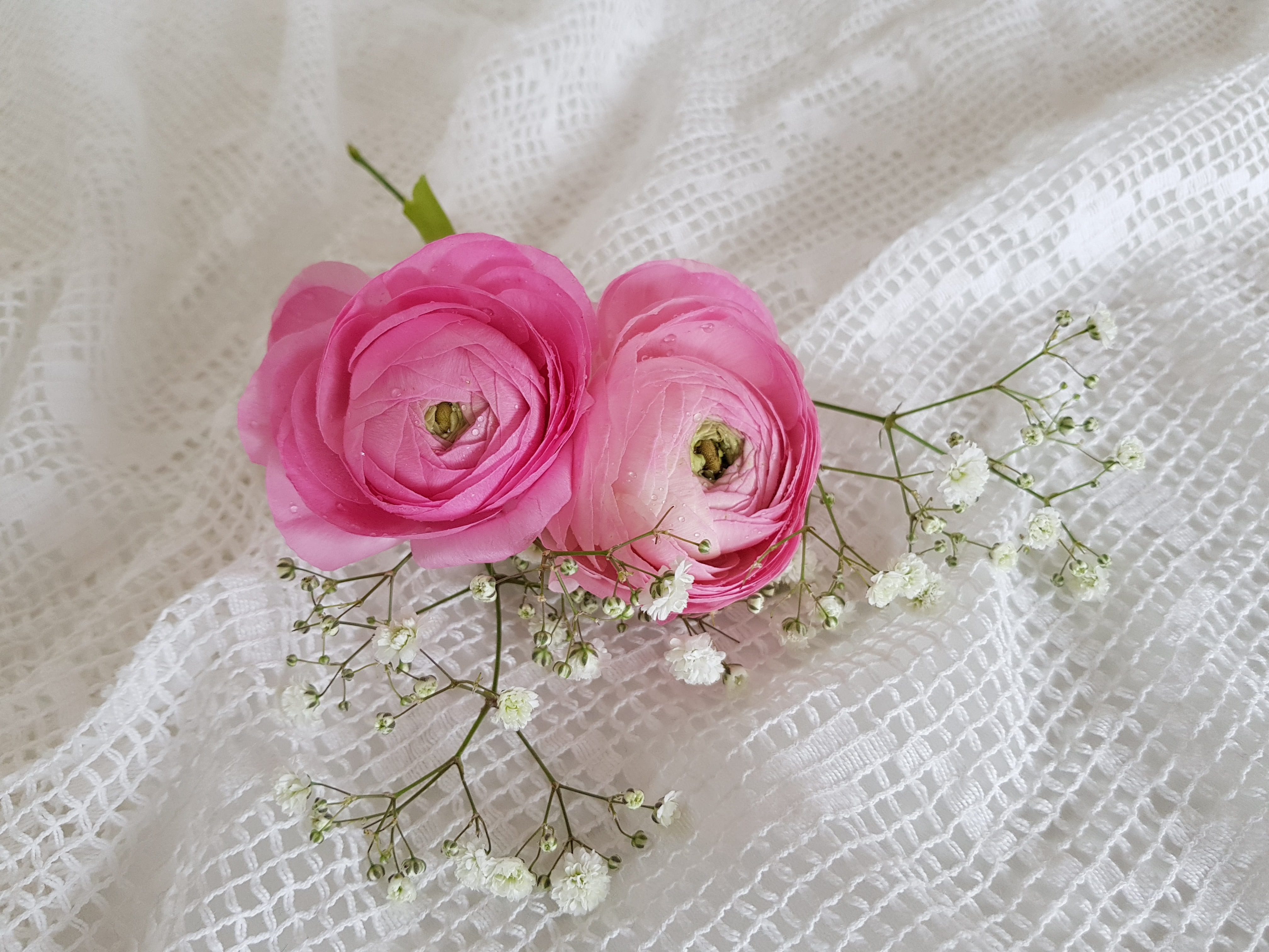 petal, pink, floral, flower head, hand labor, flower arrangement, white, flower heads, textile, romantic, rose, tender, white color, spring, tablecloth, HD Wallpaper