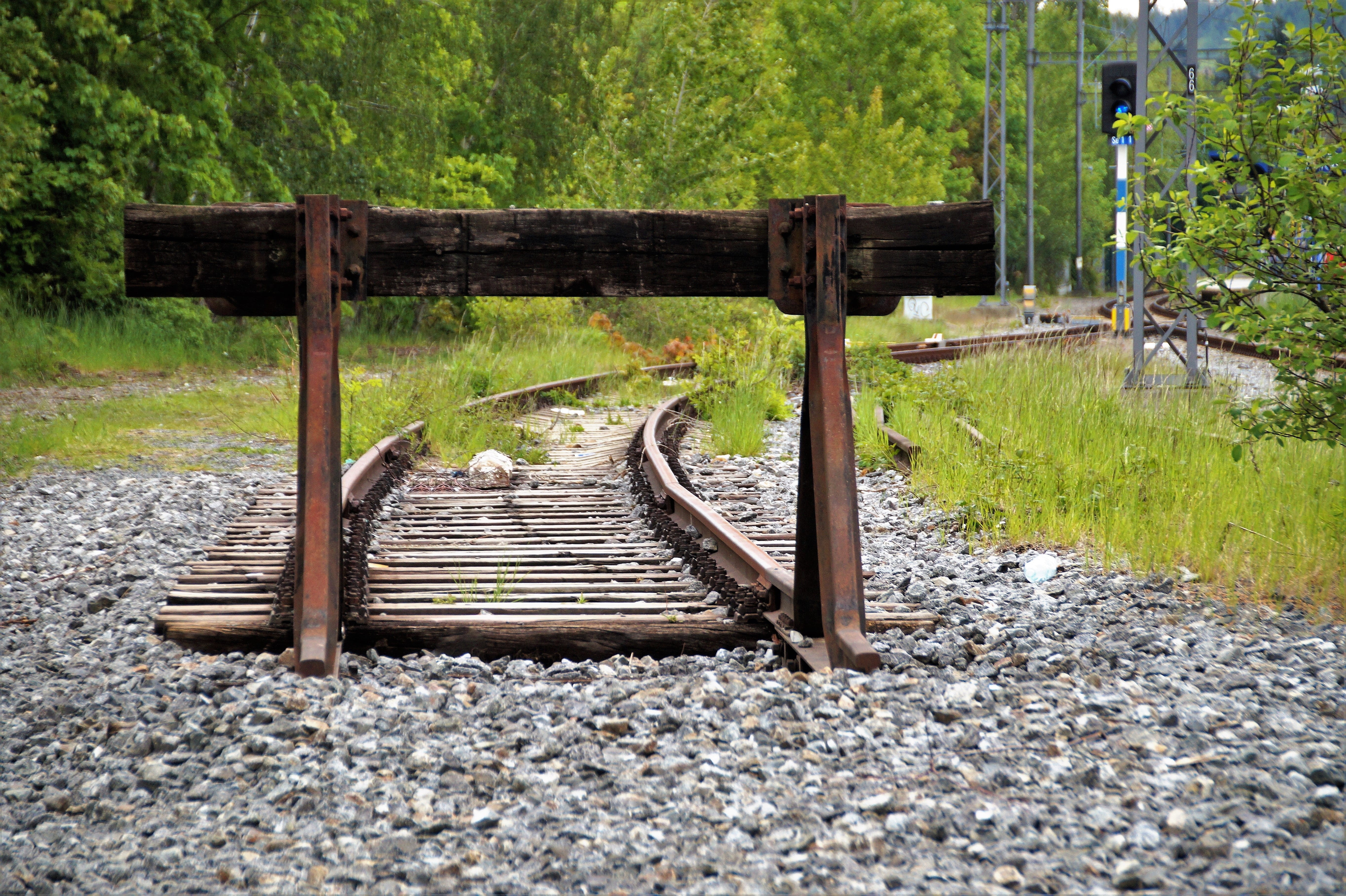 forest, architecture, transportation, gravel, day, land, tranquility, rail, tranquil scene, green color, 5K, railroad track, track, plant, transport, no people, HD Wallpaper